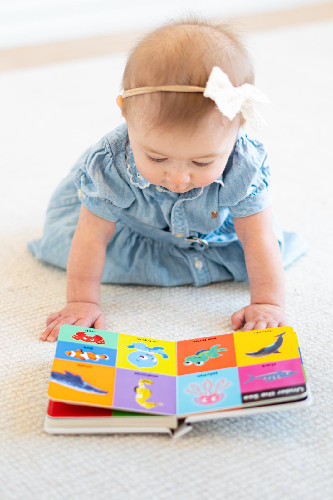 Baby Einstein – My First 100 Words – Early Learning Vocabulary Board Book -…