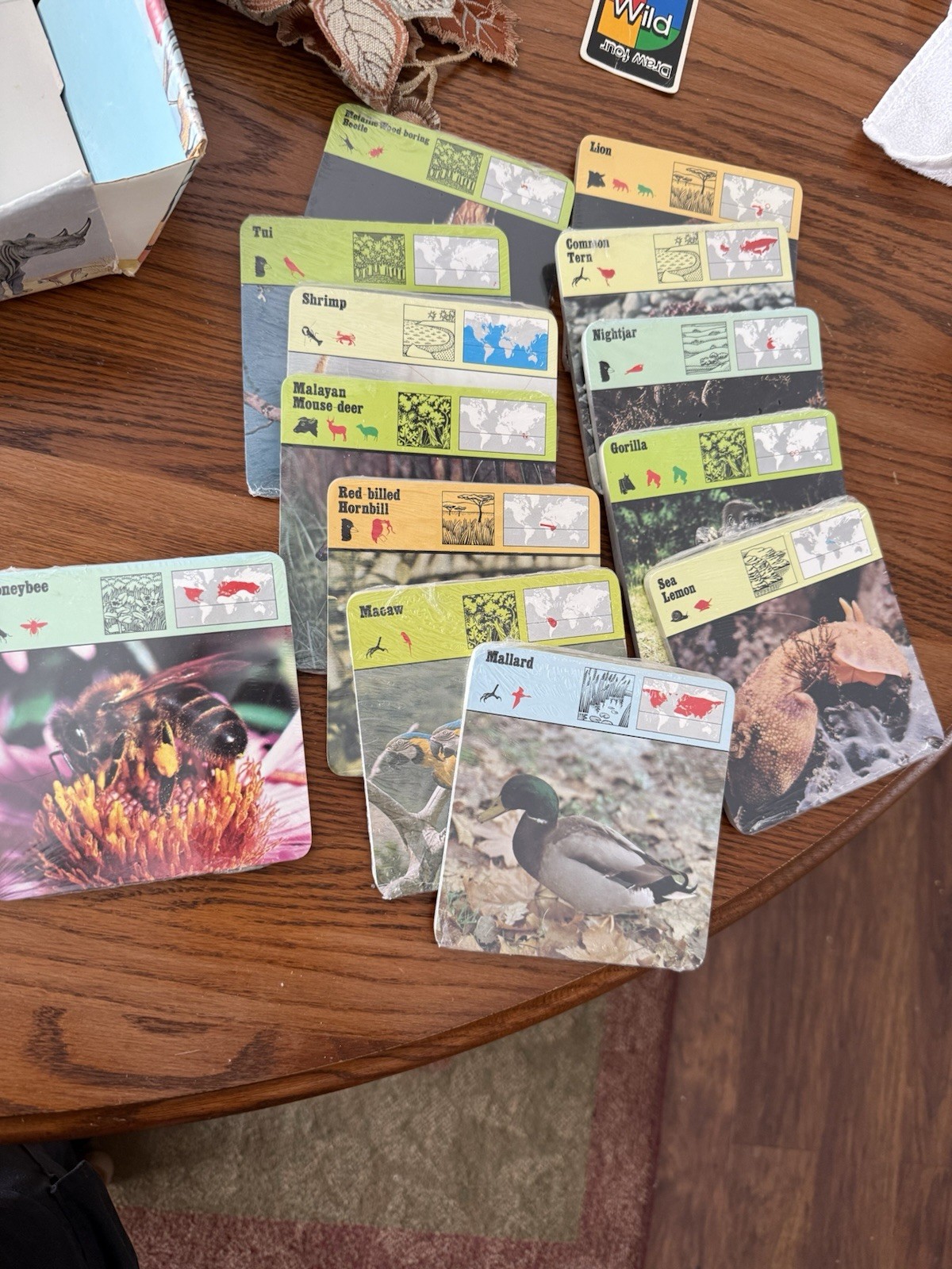 Vtg 70s Rencontre Wildlife Safari Cards Display Box 1,000 + 325 New 1-35 Divider
