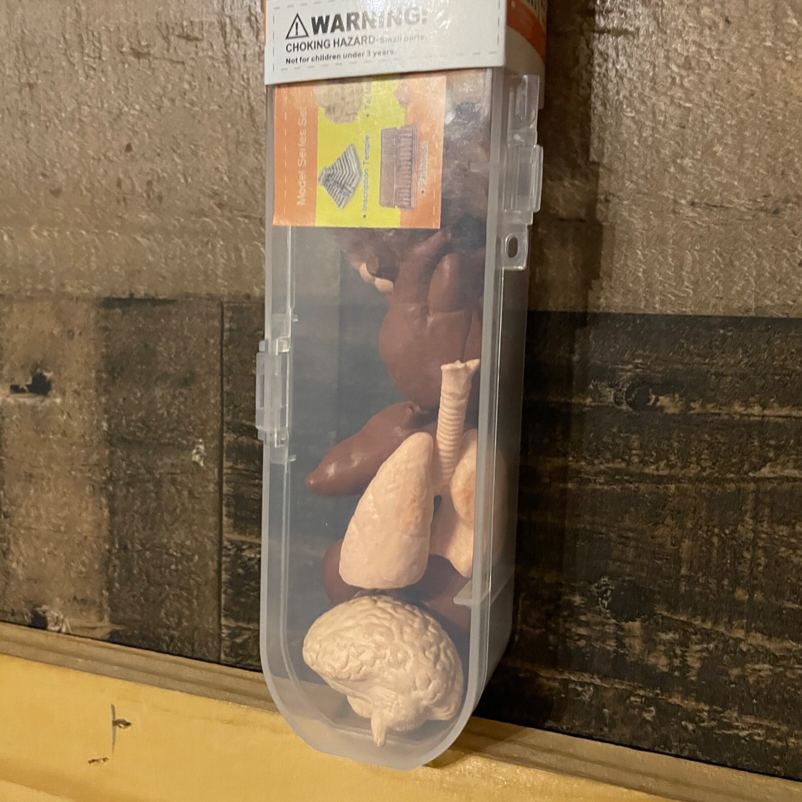 Human Organ Toy Set Aerospace Architecture Play Learn Body Small Parts Gift NEW