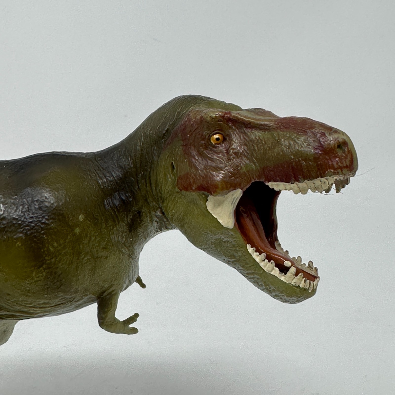 Safari Carnegie Tyrannosaurus T Rex Figure Prehistoric Dinosaur Animal 2014 READ