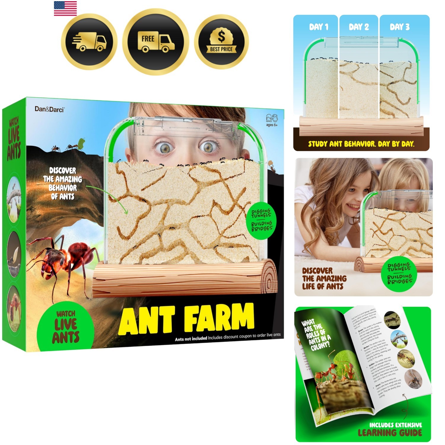 Ant Farm Kit for Kids – Farms Colony – Includes Ants Voucher – Sand Habitat K…