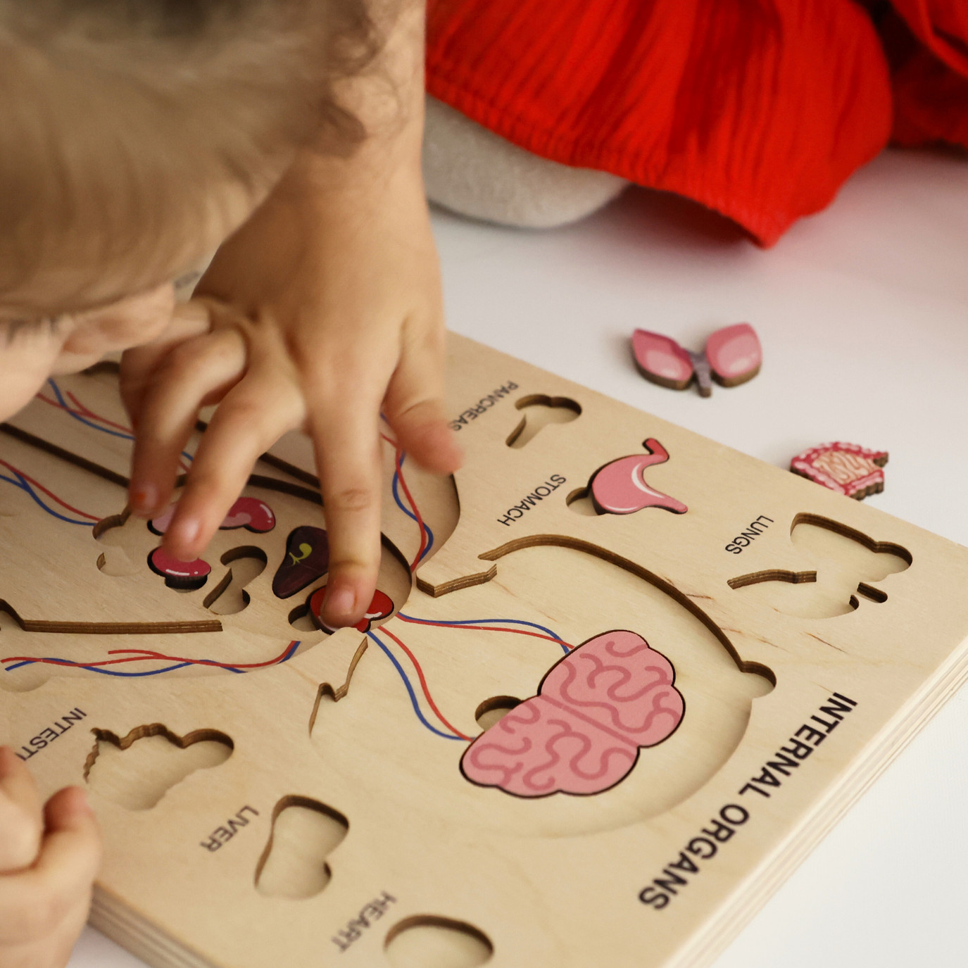 Montessori Wooden Human Body Puzzle – Organs & Stand, STEM Educational (Ages 3+)