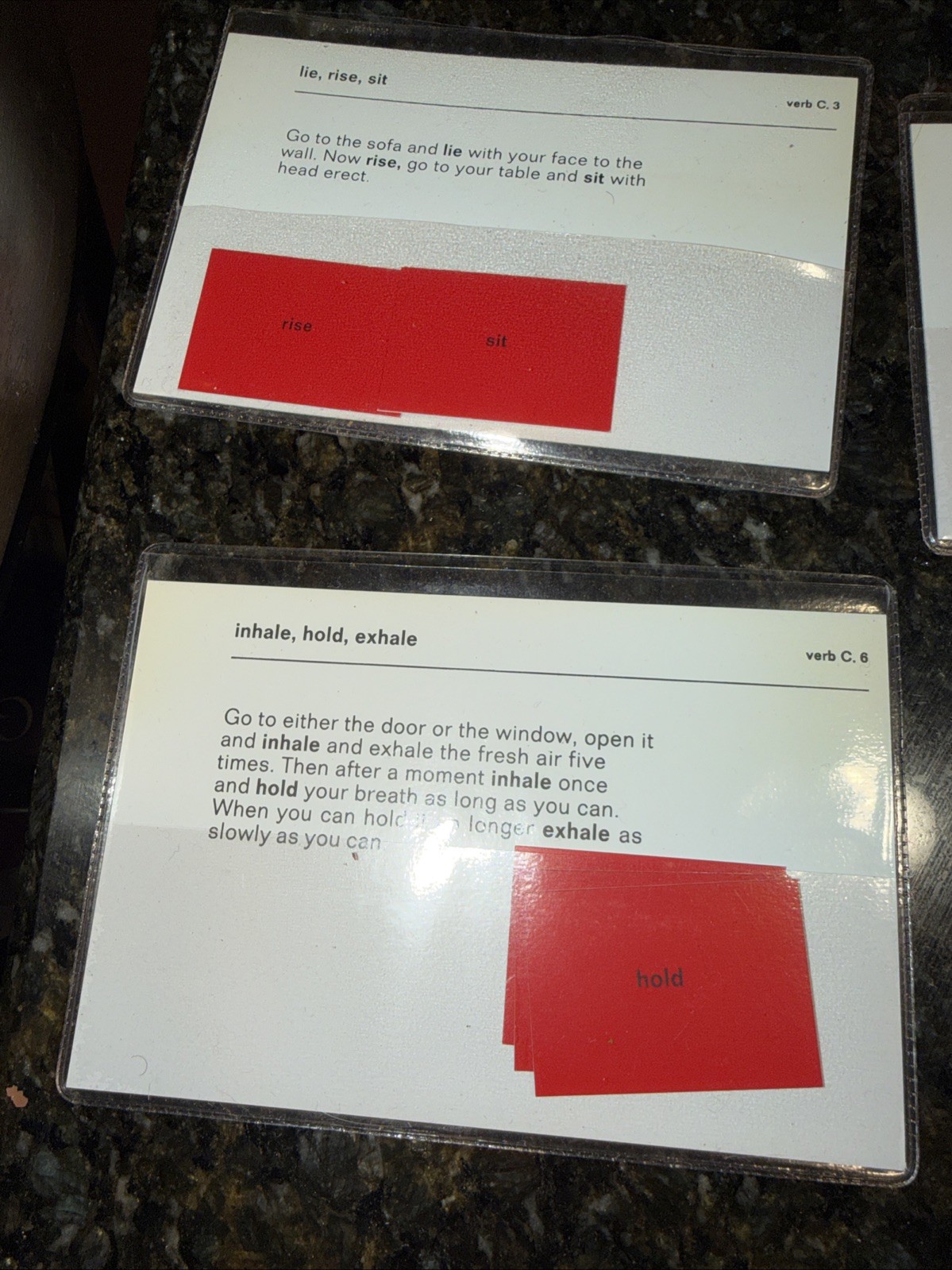 Montessori Command Cards Verbs, Synonyms, Antonyms Sentences, Homeschool Grammar