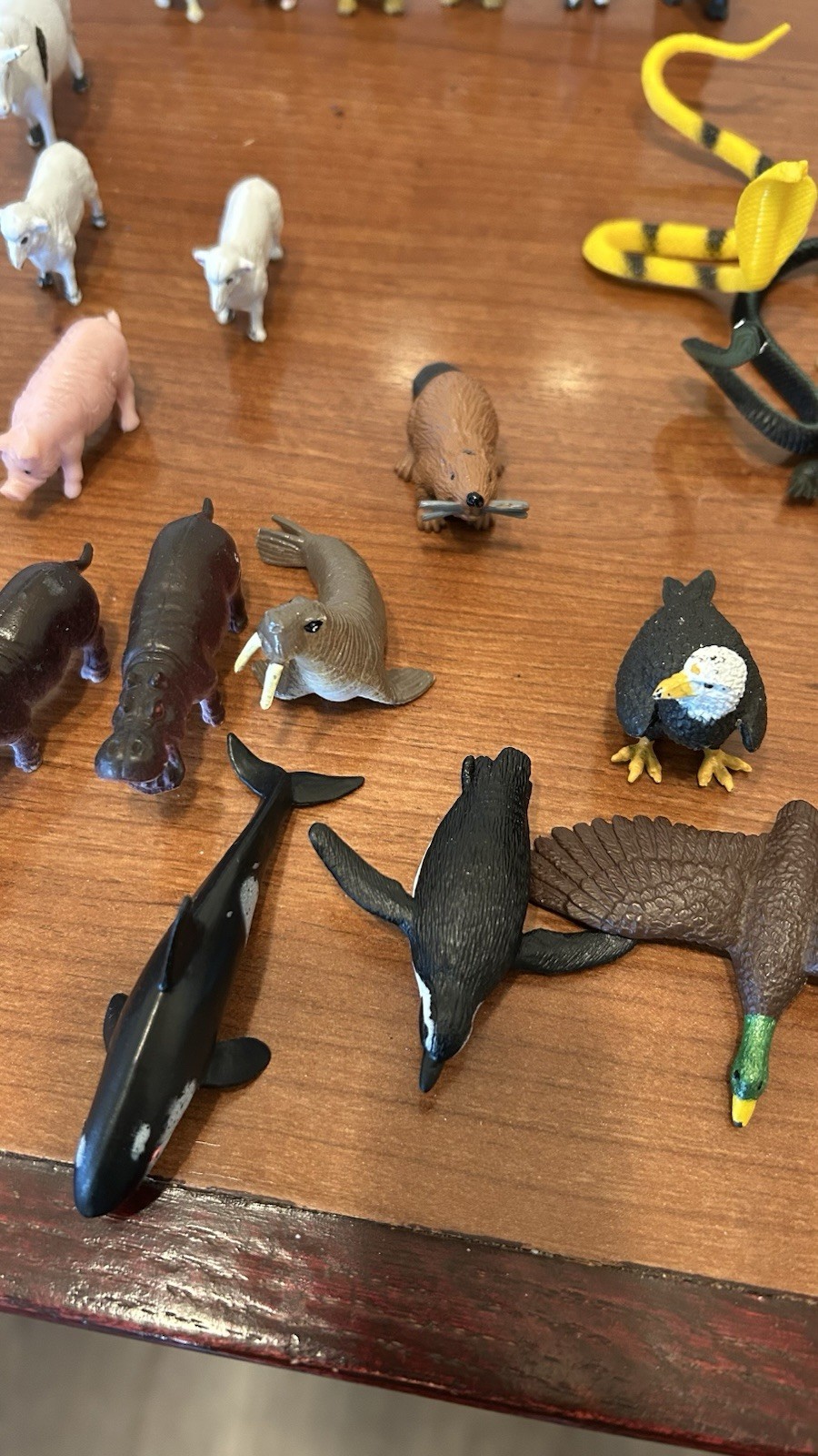 Assorted Animals Figurines