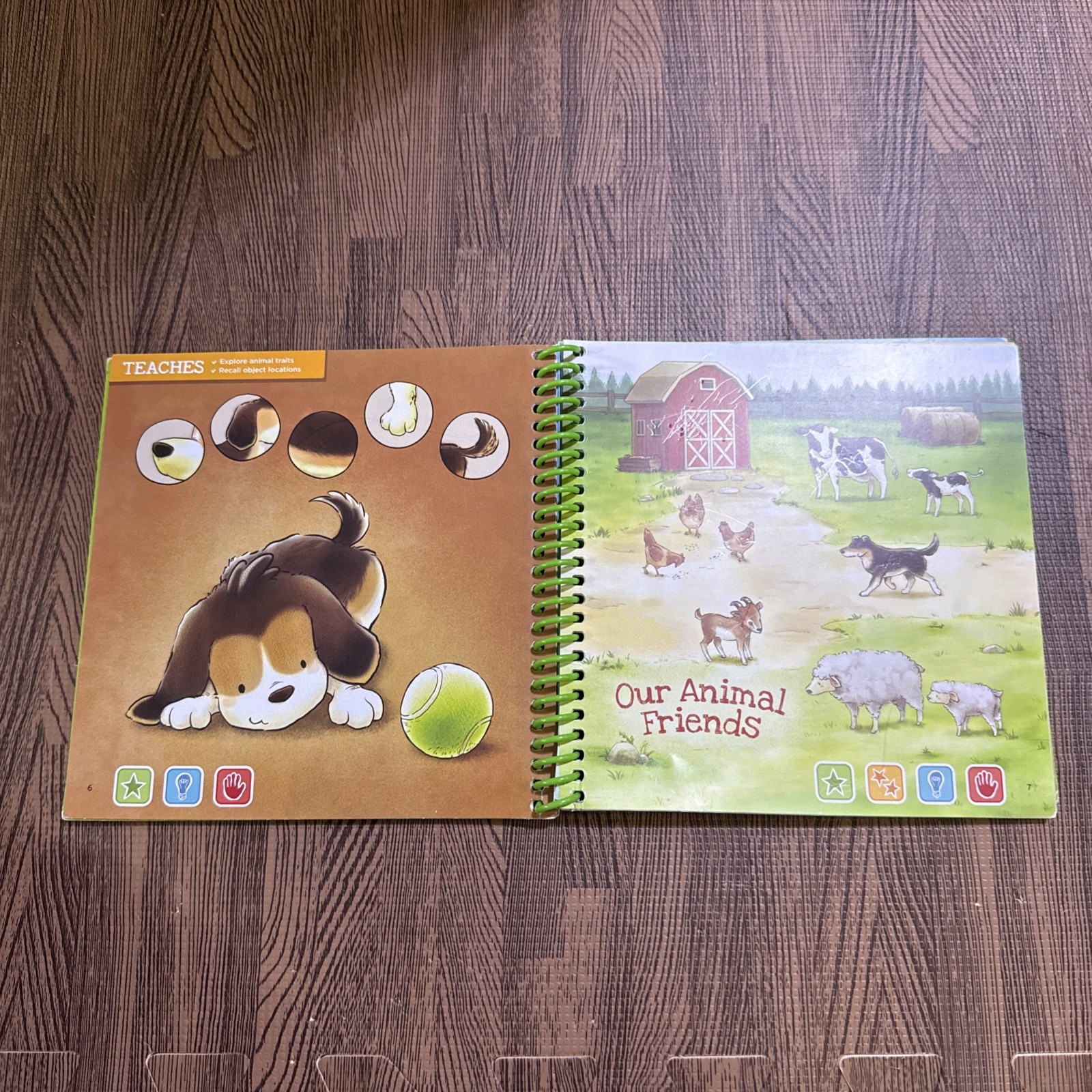 LeapFrog Leap Start Preschool book — THE WORLD OF BABY ANIMALS