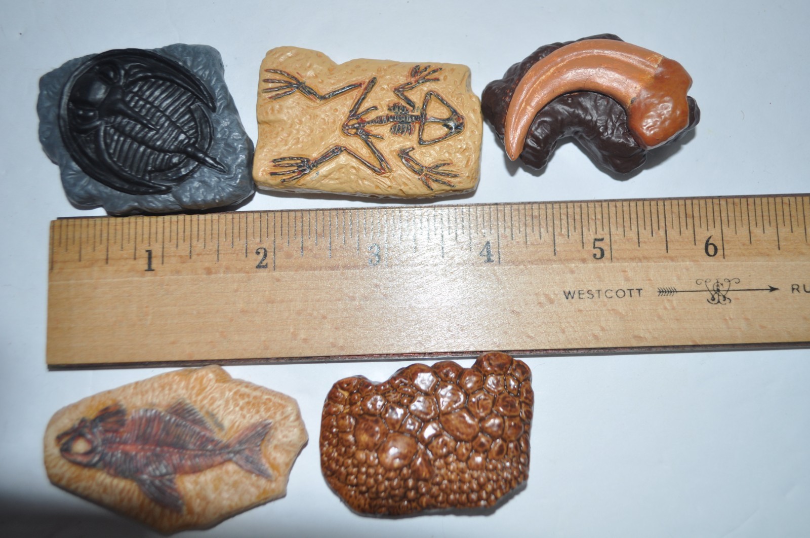 Safari Ltd Ancient Fossils Toob Miniature Collectibles 2009