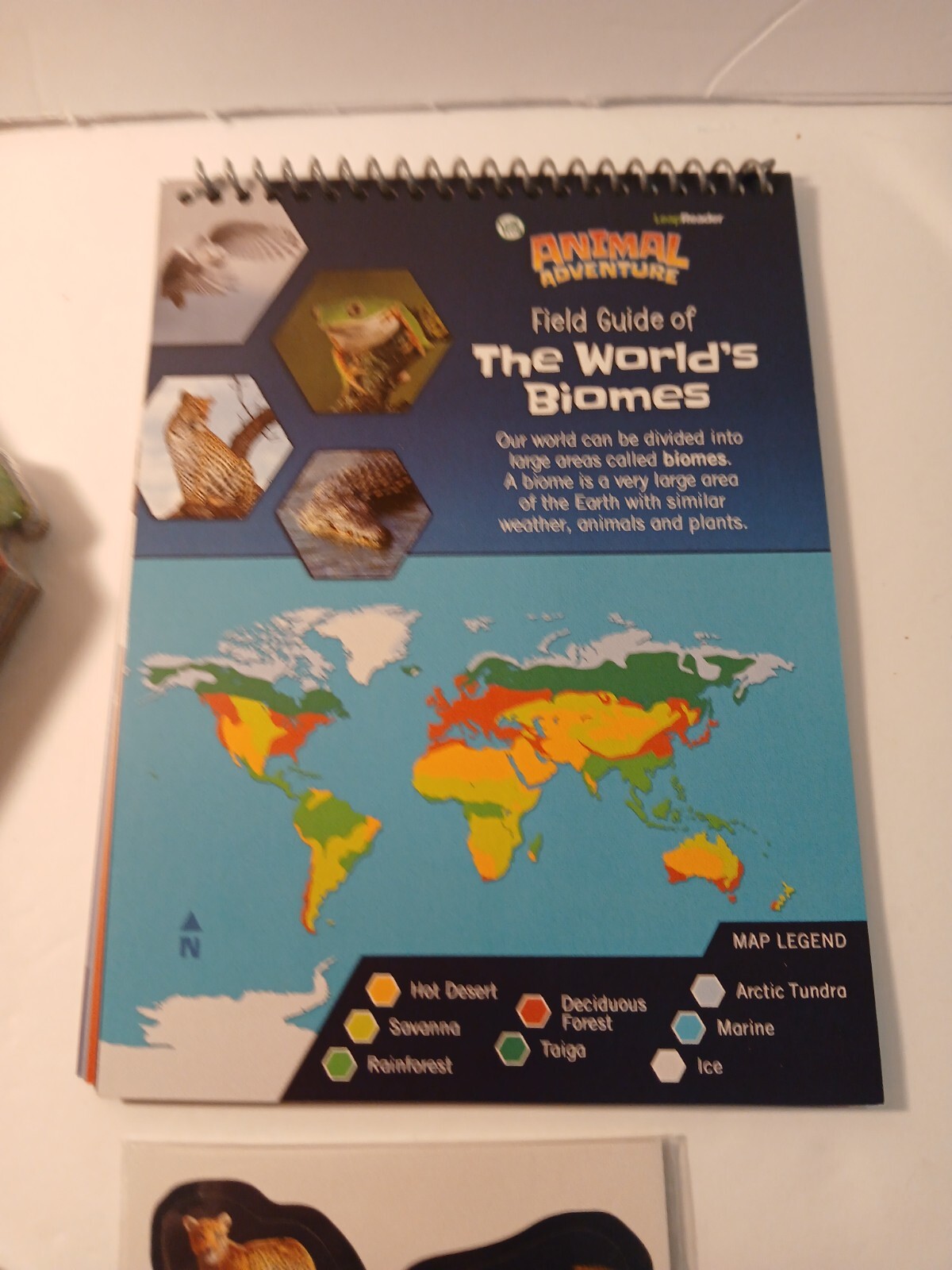 LeapFrog LeapReader Animal Adventure Interactive Board Game