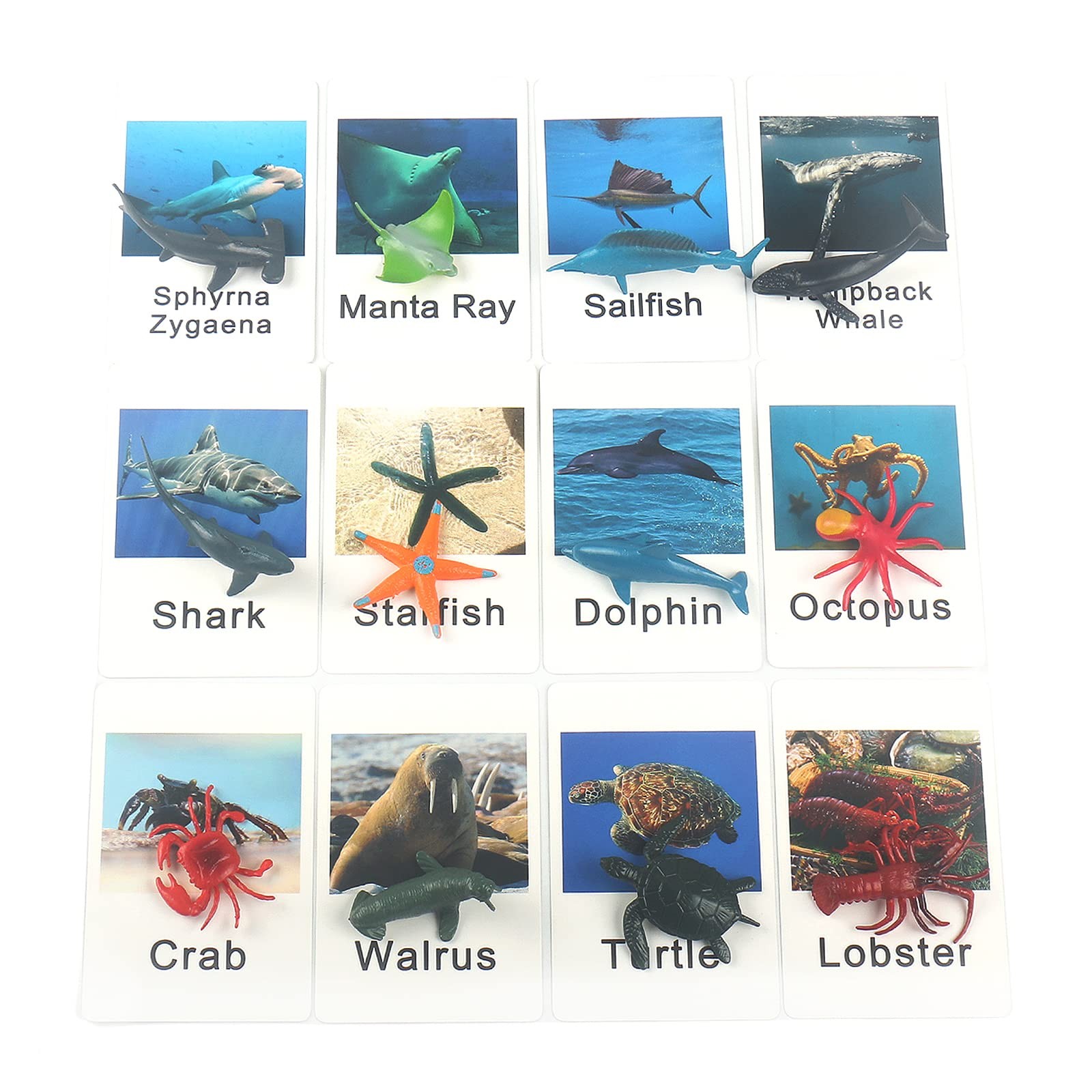 Montessori Animal Match Game Cards Marine Animal Matching Montessori Language…