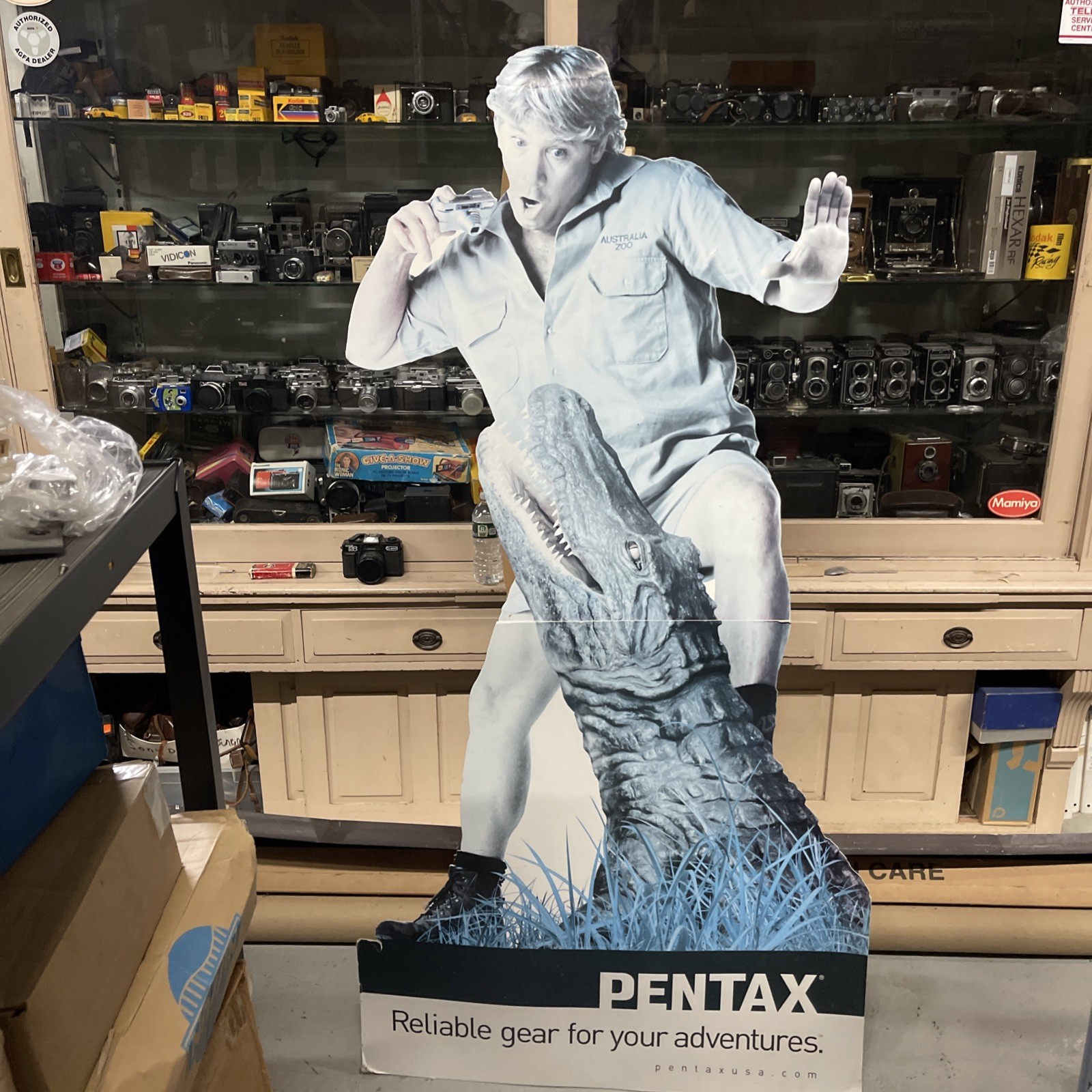 Steve Irwin Crocodile Hunter Australia Zoo Life size Cardboard Standup Pentax