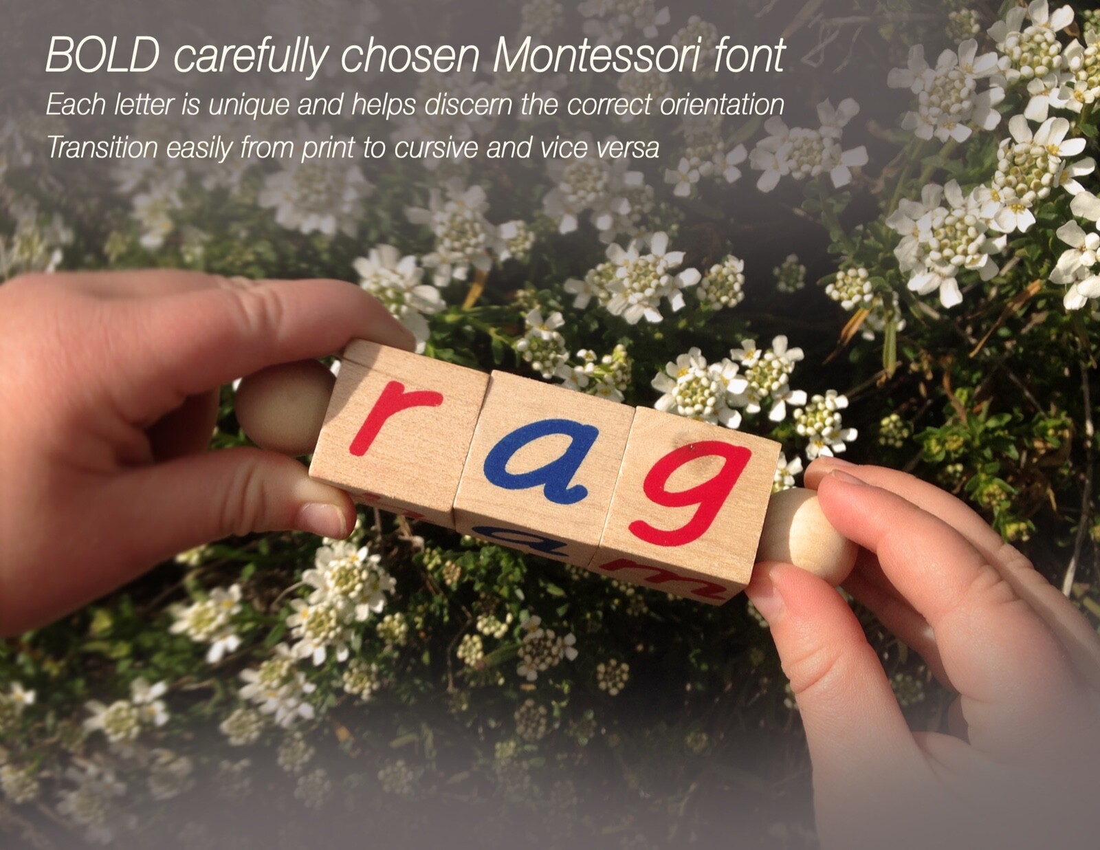 The Original Montessori Phonetic Reading Blocks, Learn to Read Educational Toy