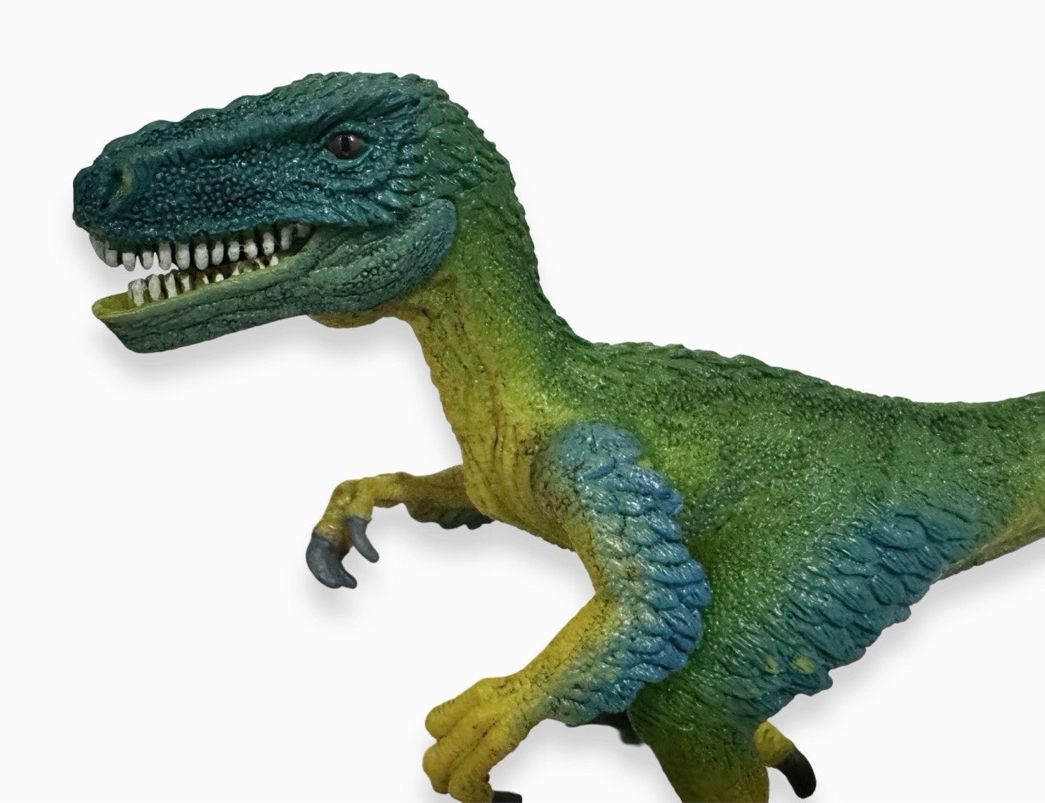 Schleich Velociraptor Dinosaur Figure – AM Lines / New With Tags