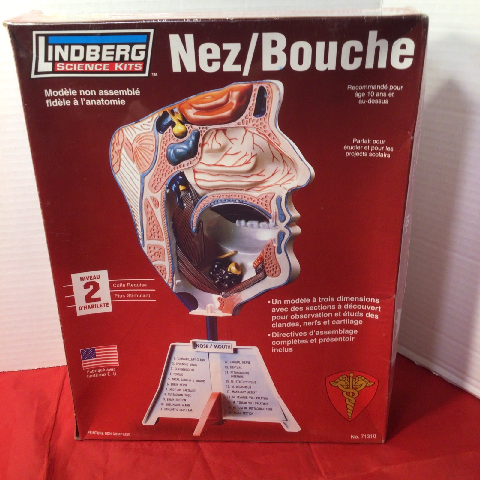 New & Sealed Lindberg “Nose/Mouth” Anatomically Accurate Unassembled Model Kit