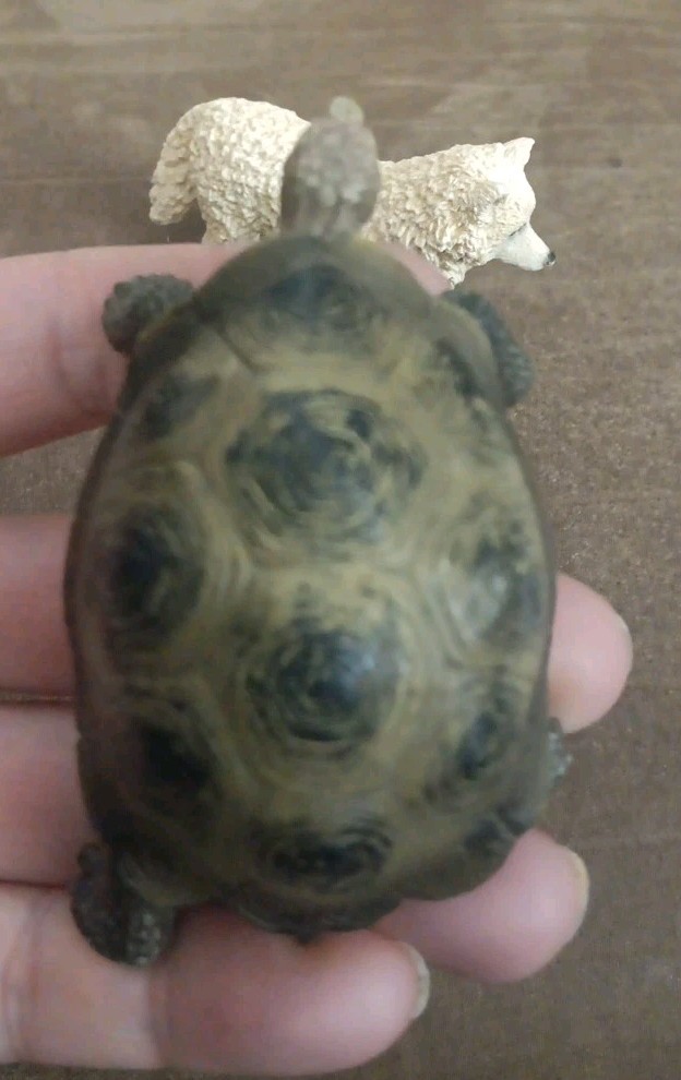 2 Schleich Giant Tortoise Wild Life ’08 & White Wolf Toy Figures Diorama Animals