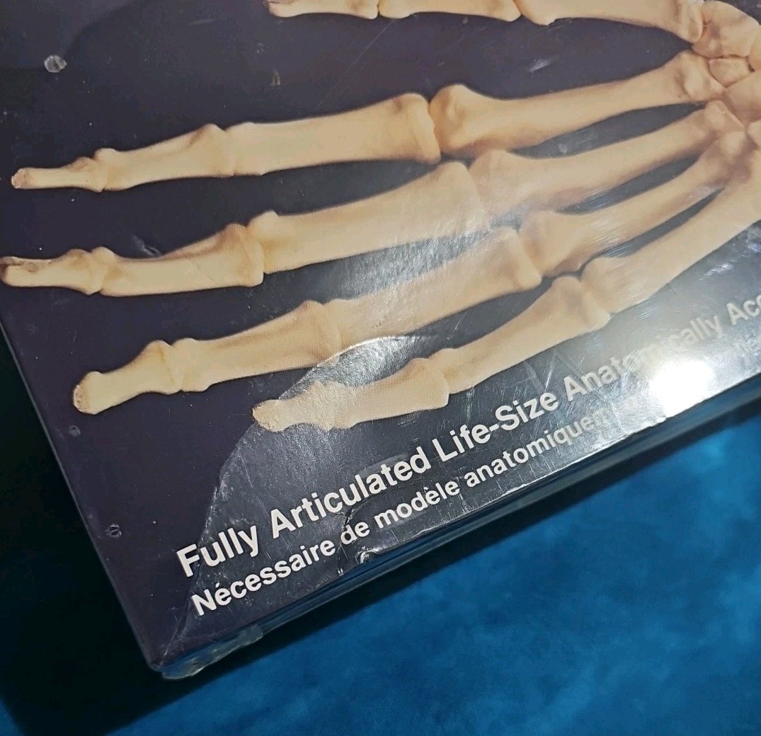 1991 Lindberg Skeletal Hand Life Size Model Kit Prop Or Educational NEW SEALED