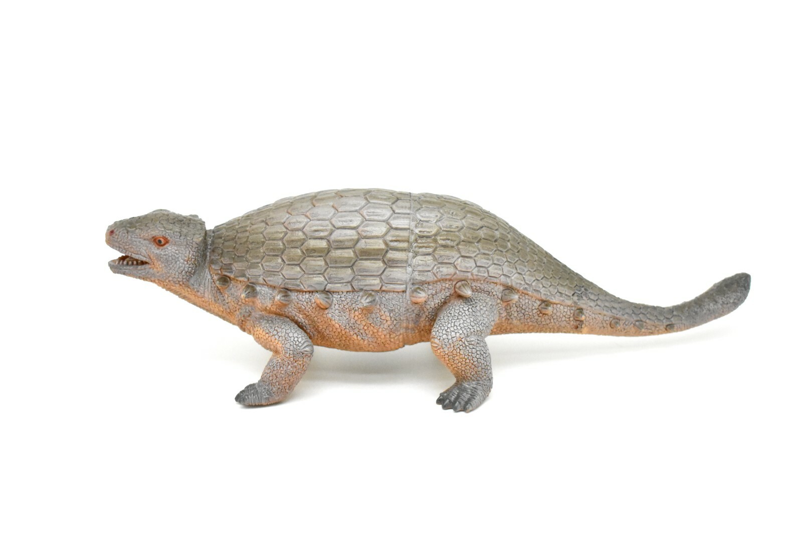 Ankylosaurus Toy, Dinosaur Model, Very Nice Plastic Replica, 12″ CWG158 BB34