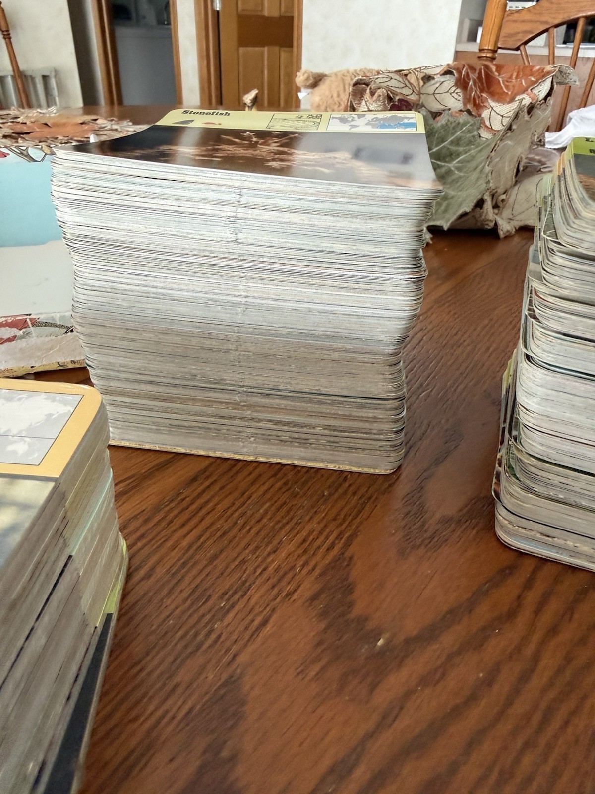 Vtg 70s Rencontre Wildlife Safari Cards Display Box 1,000 + 325 New 1-35 Divider