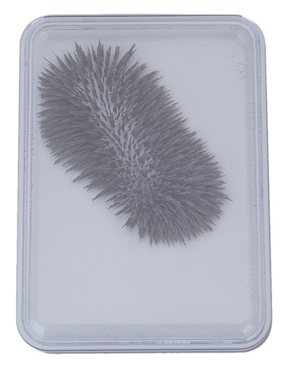 Iron Filings in Bubble Case Magnetic Toy – Popular Playthings