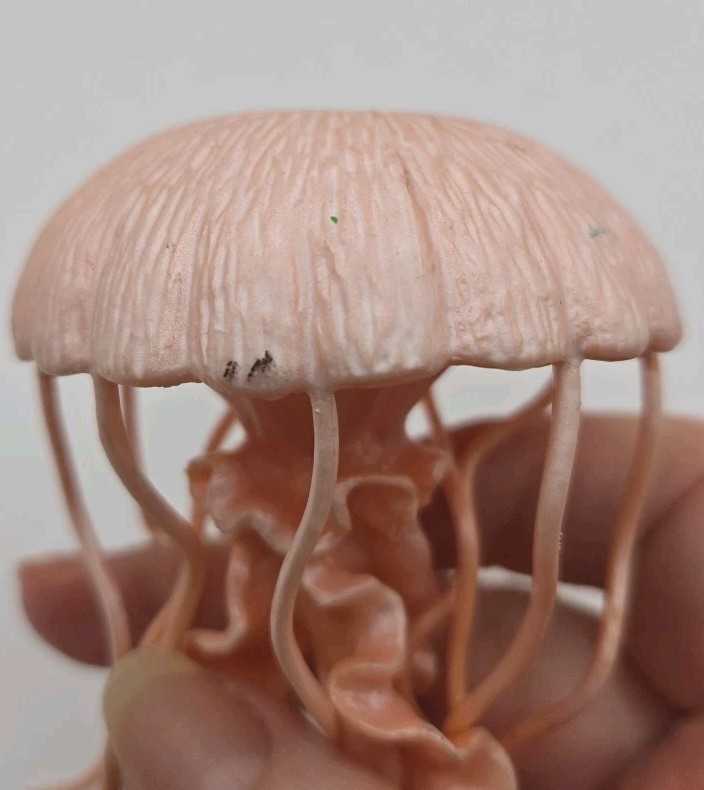 Jellyfish Incredible Creatures Figure Safari Ltd 2013