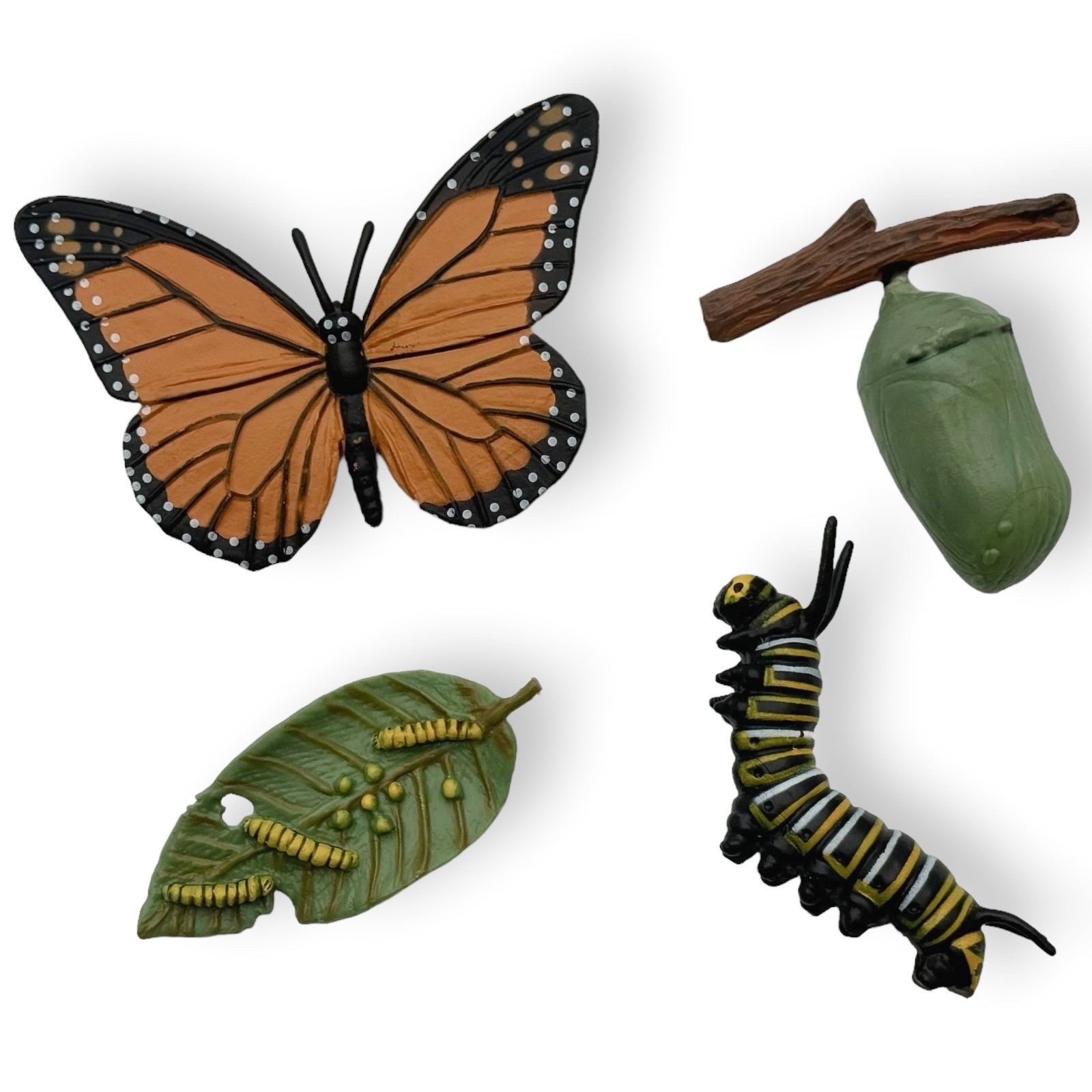 Safariology, Life Cycle of a Monarch – Eggs, Caterpillar, Chrysalis – Safari Ltd