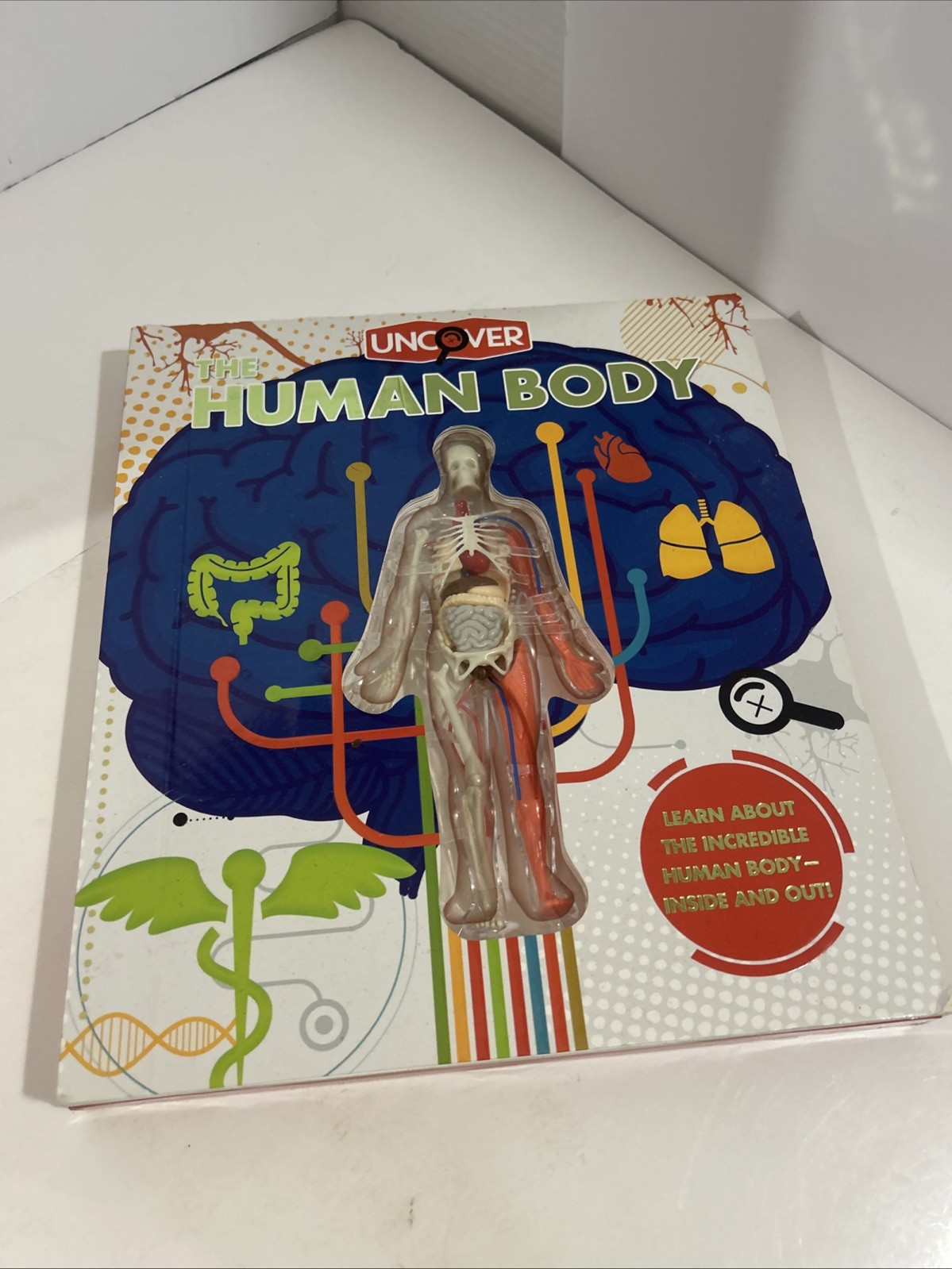 Uncover the Human Body Book Layered Interactive 3-D model Board Book