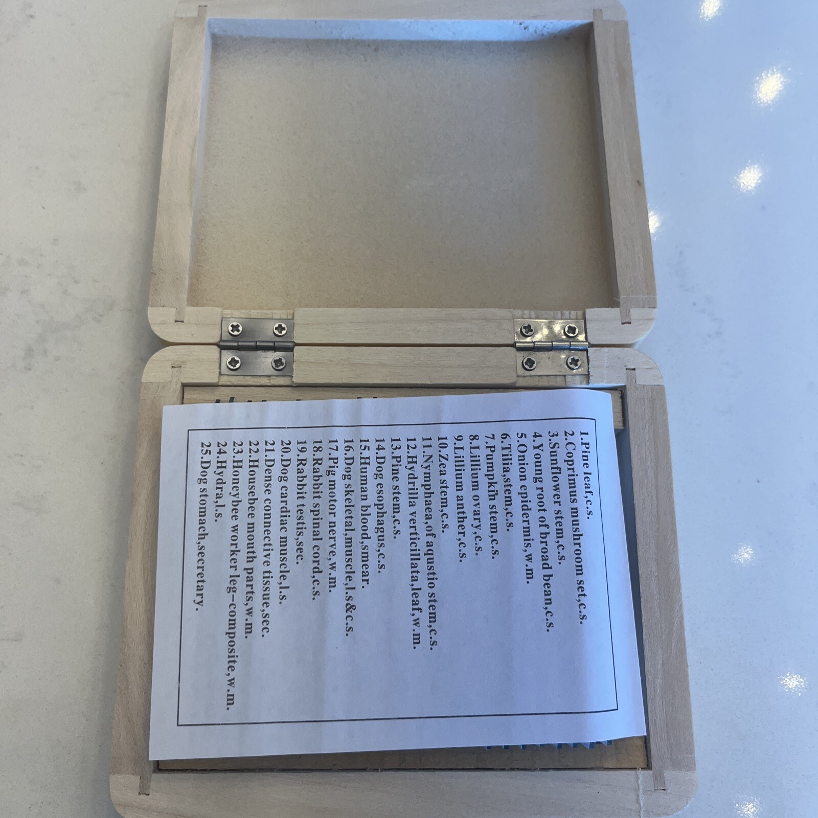 AmScope 25 Prepared Biology Microscope Glass Slides in Wooden Box B49/158