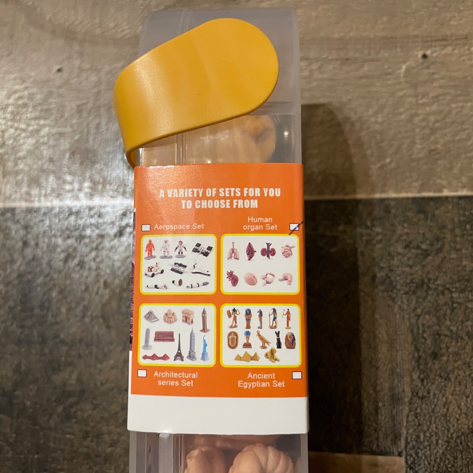 Human Organ Toy Set Aerospace Architecture Play Learn Body Small Parts Gift NEW