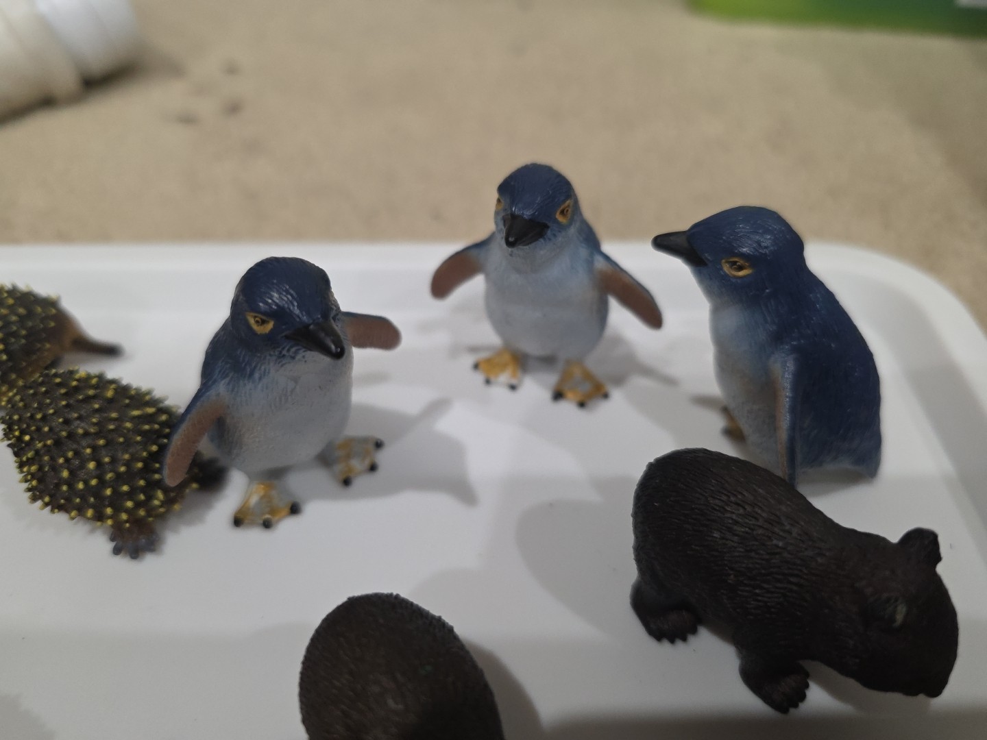 Australia Animal Toy Figures Penguin Wombat Echidna Platypus Science Nature