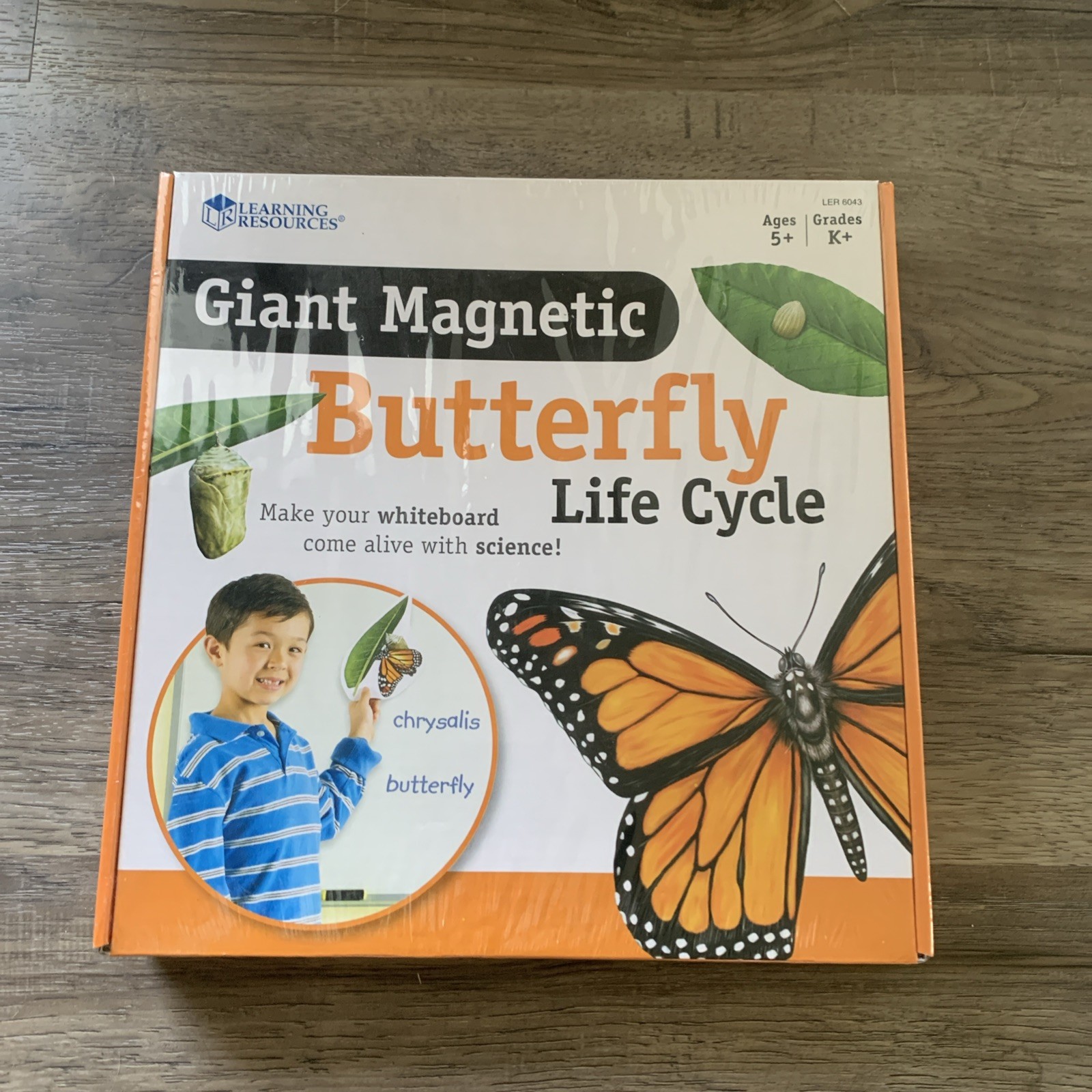 Brand New Magnetic Butterfly Life Cycle Learning Resources Write & Wipe Pieces