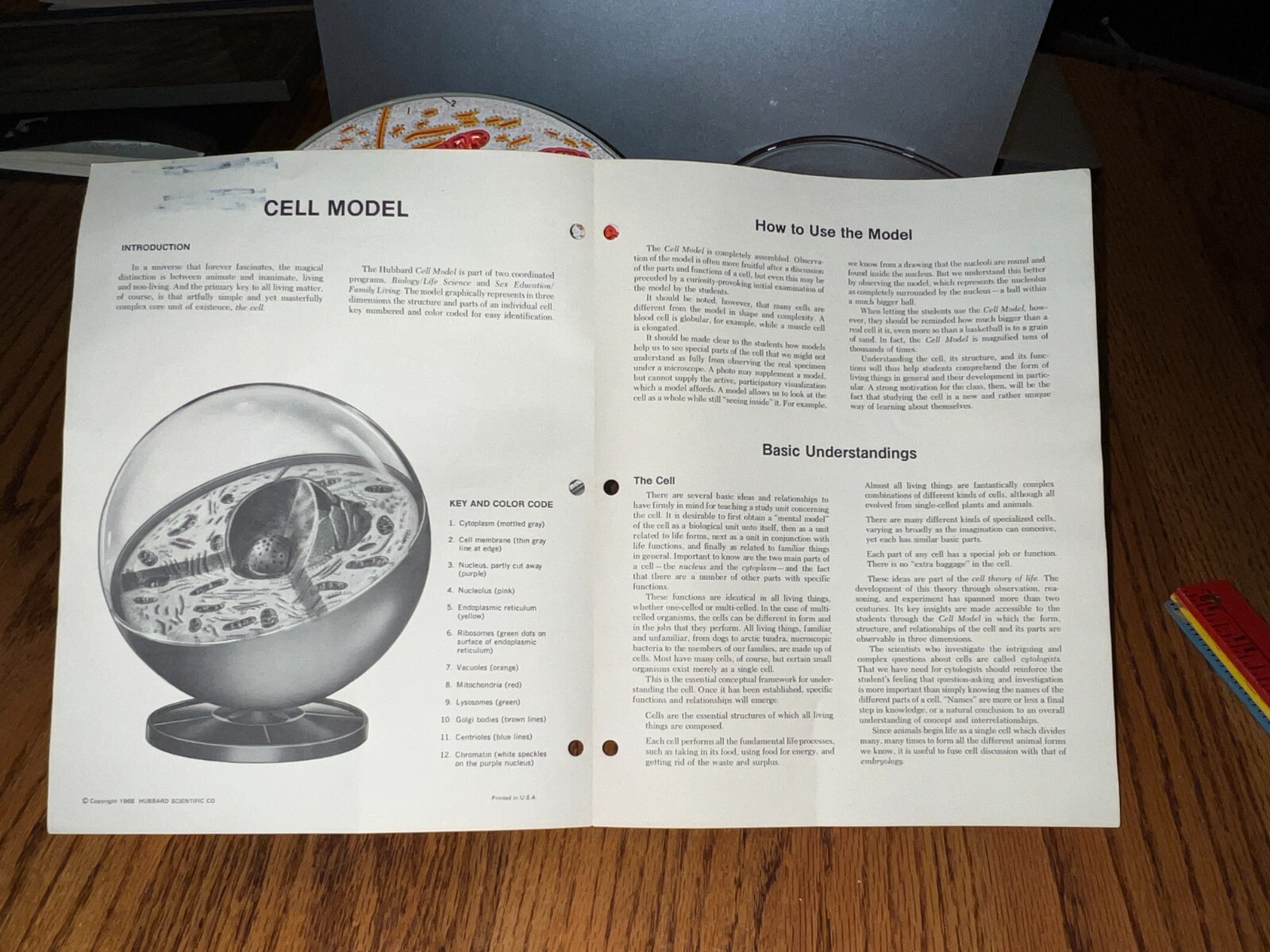 Hubbard Scientific 3-D Biological Cell Model Globe 1968