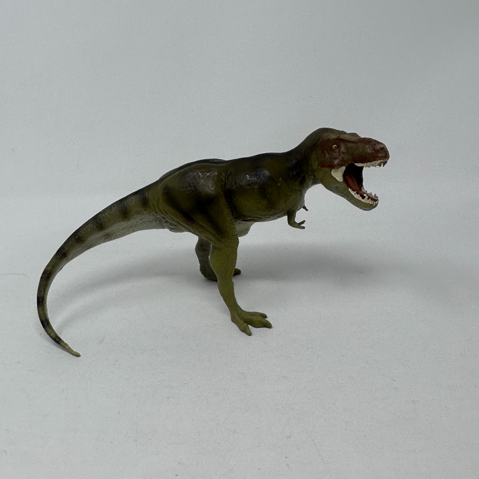 Safari Carnegie Tyrannosaurus T Rex Figure Prehistoric Dinosaur Animal 2014 READ