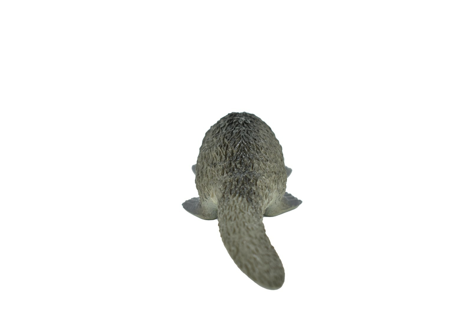 Platypus, Life Like Plastic Replica 4 inches long – F320 B111