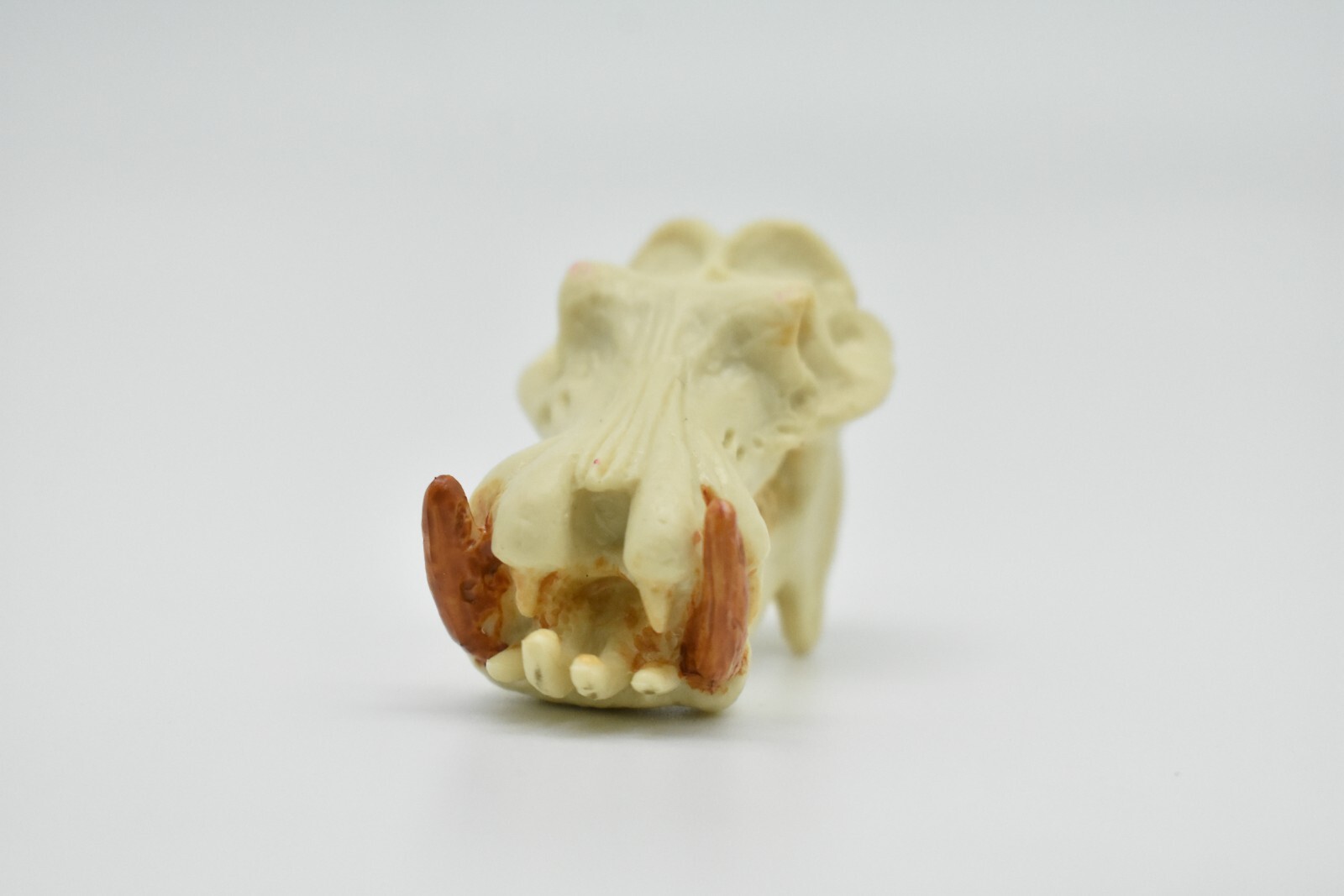 Hippo Skull, Hippopotamus Toy, Realistic Plastic Model 2 inches long