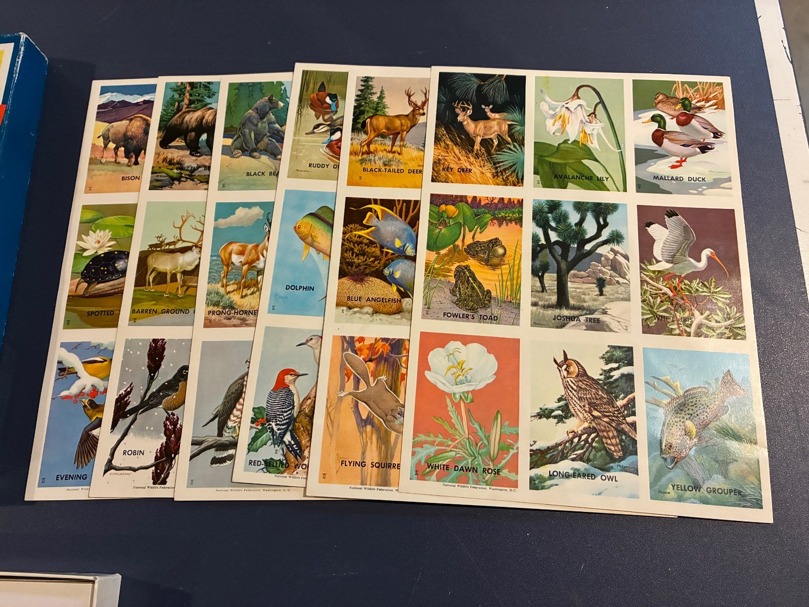 Vintage Lotto Wildlife Childrens Educational And Entertaining Game #20015