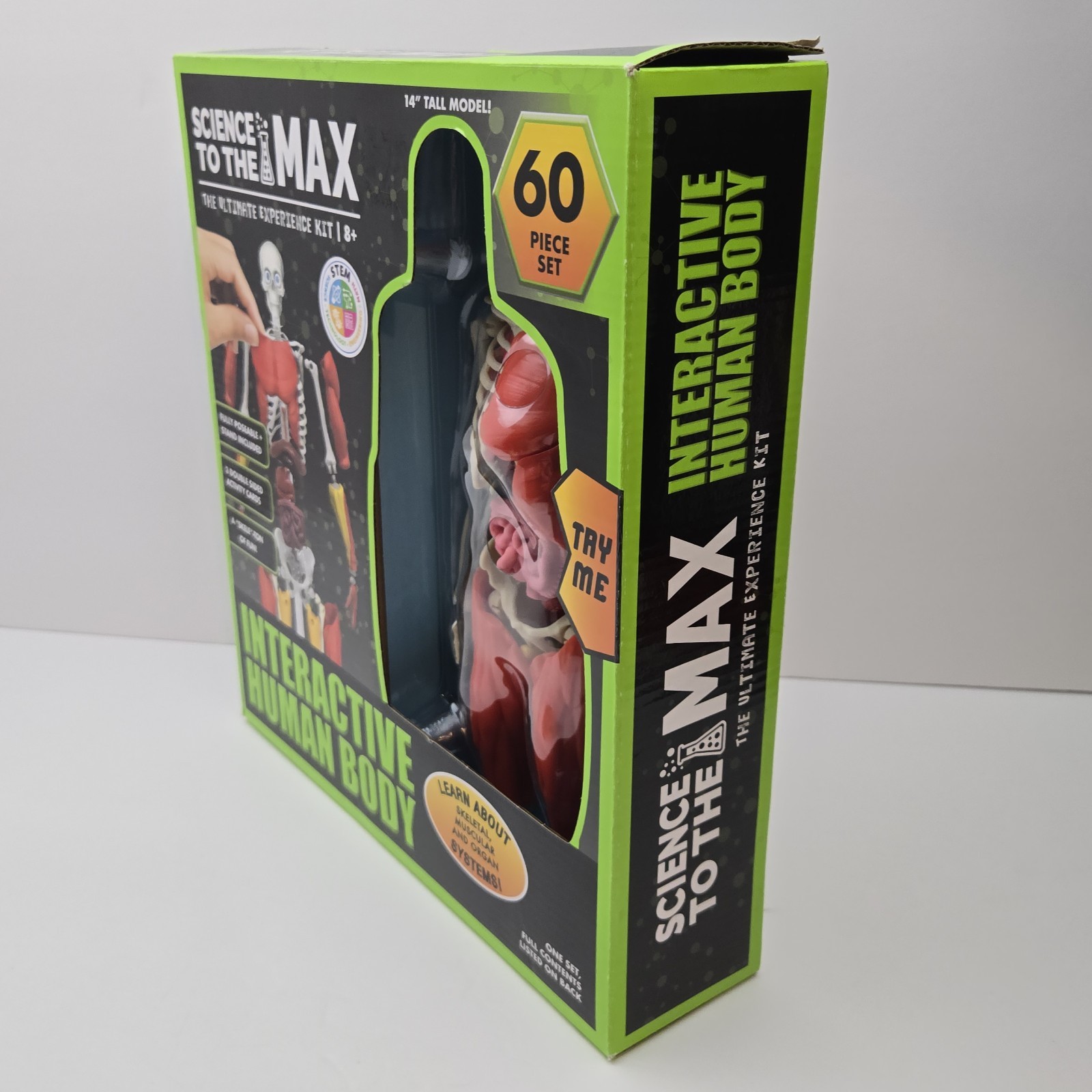 3D Human Body Puzzle Model STEM Toy by Be Amazing! Toys is an educational design