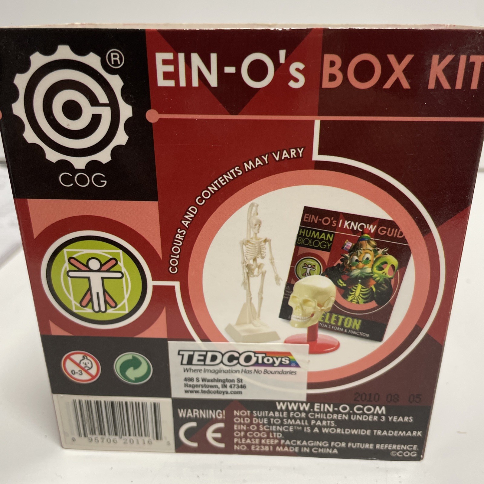Ein-O’s – SKULL & SKELETON – Models of Human Skeleton – A STEM Science Toy