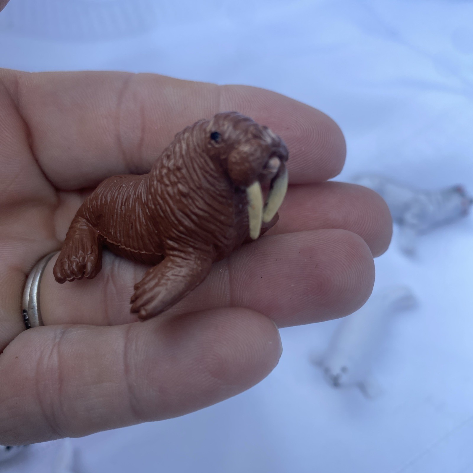 Safari Ltd Arctic Animal & Igloo Toys Miniature Toy Figurine Set 9 Pieces