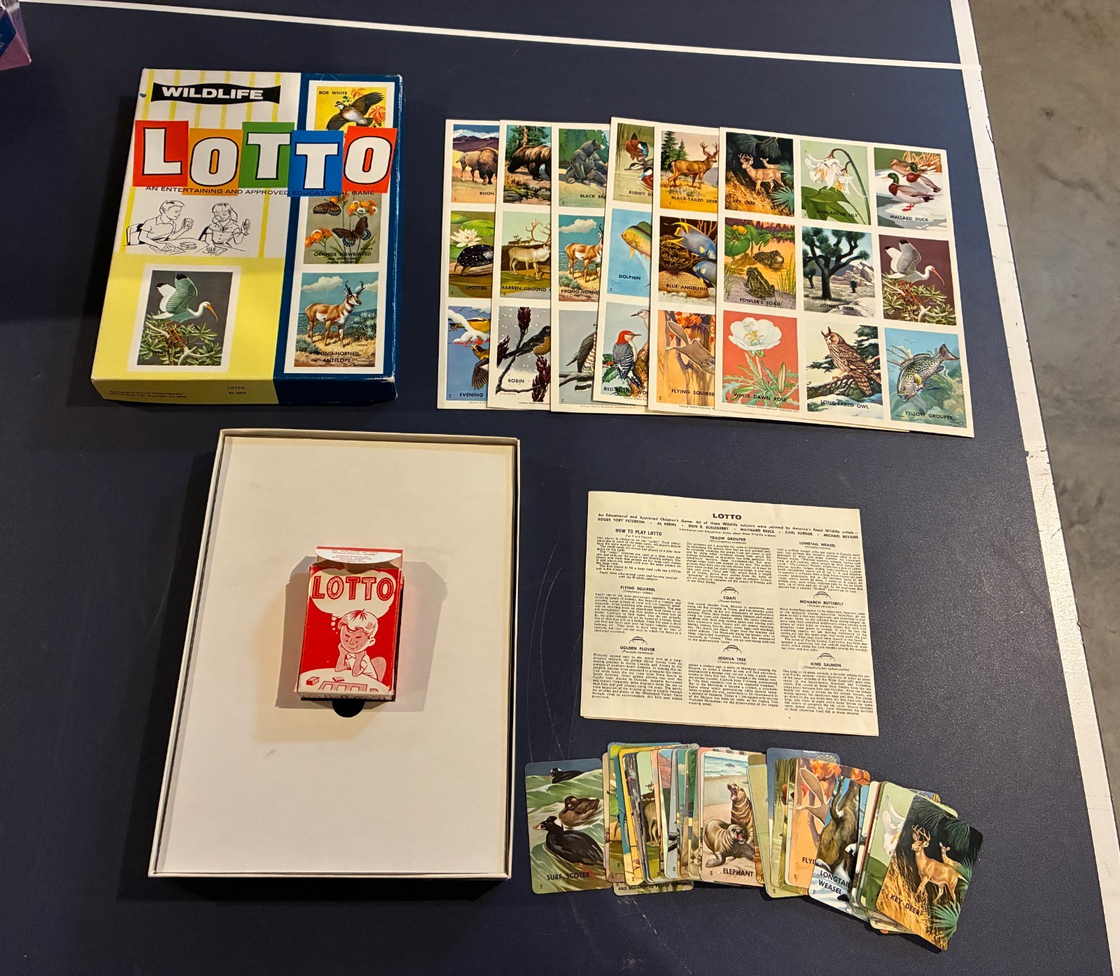 Vintage Lotto Wildlife Childrens Educational And Entertaining Game #20015