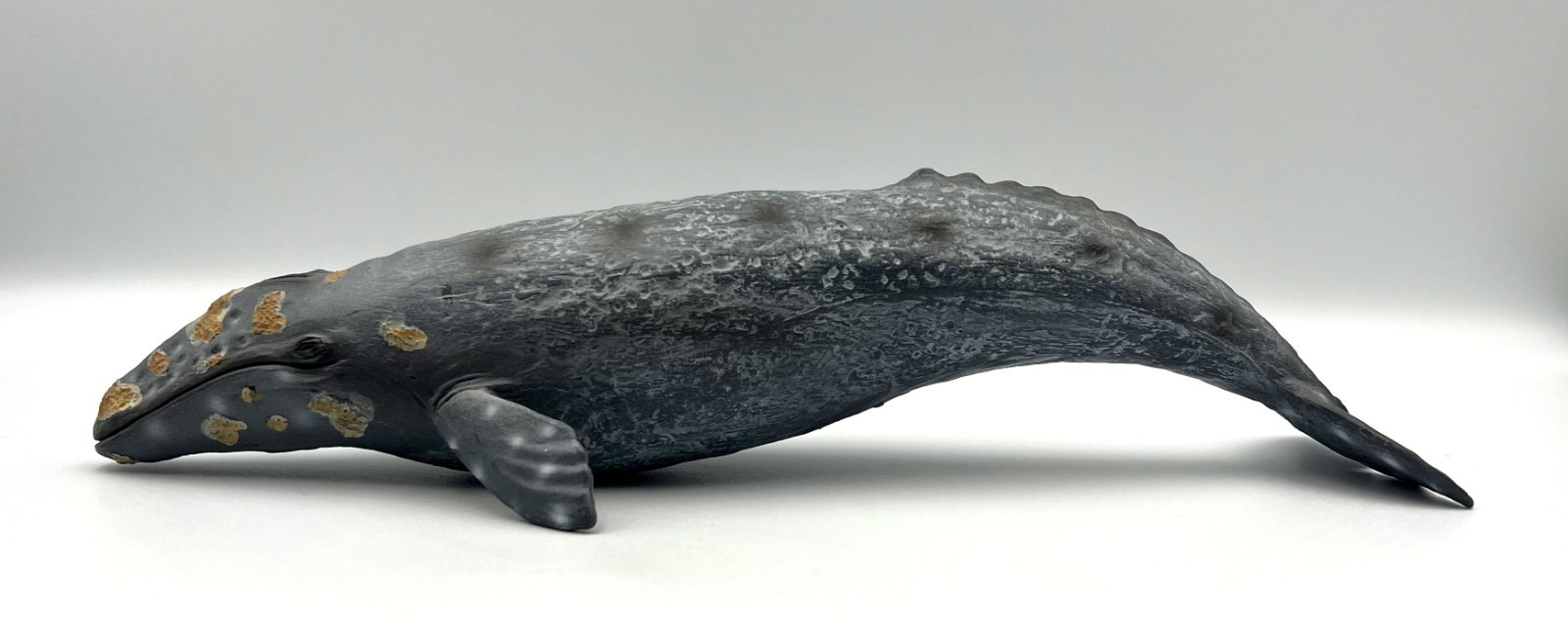 Mojo Grey Whale Figure 2018 Portugal Grauwal 10.5″