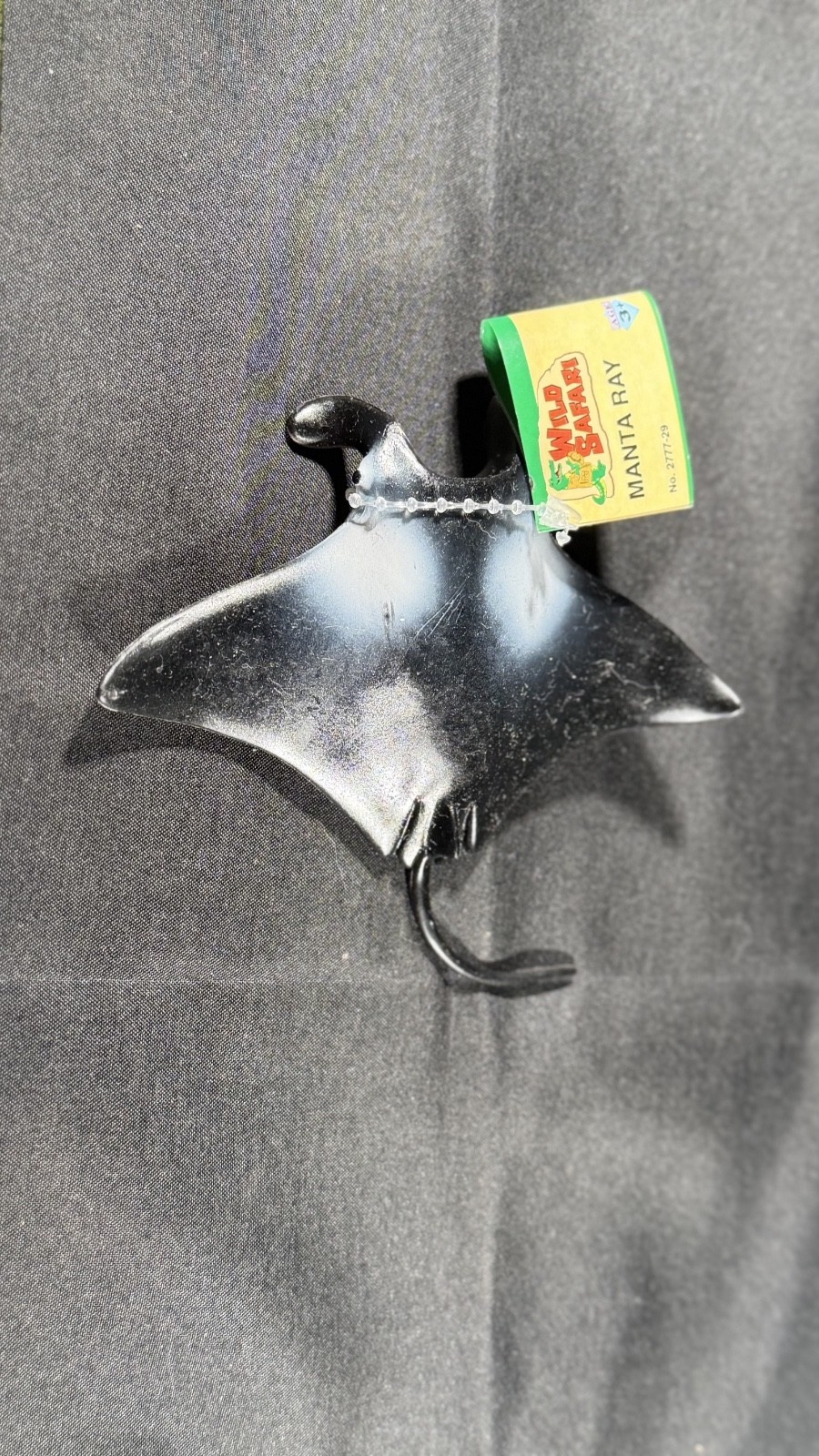 Manta Ray Sea Life Safari Ltd 2004 With tag