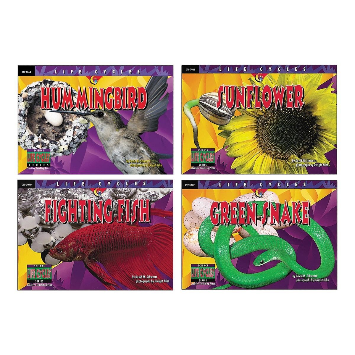 Creative Teaching Press Lifecycle Book Set