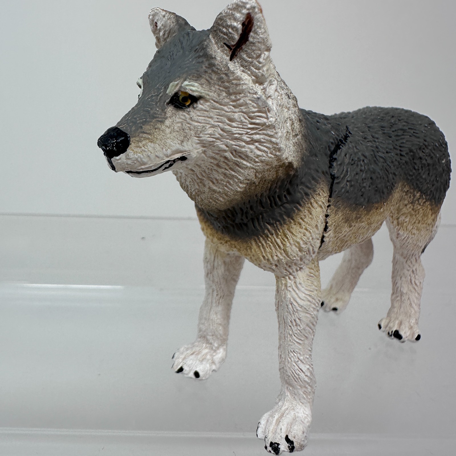 Safari Ltd Gray Wolf Figure Wild Dog Wildlife Zoo Jungle Animal Figurine 4″ 2020