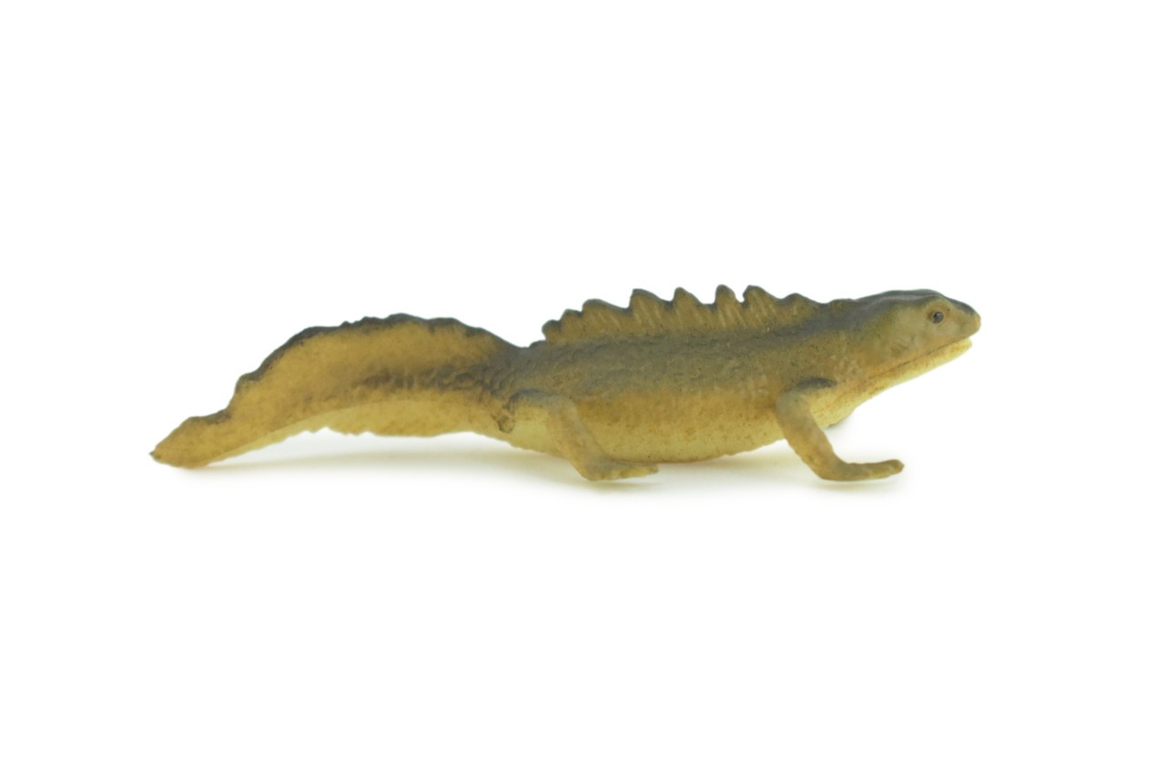 Toy Water Dragon, Sailfin Lizard, Realistic Hand Painted Rubber, 2″ WR48 B197
