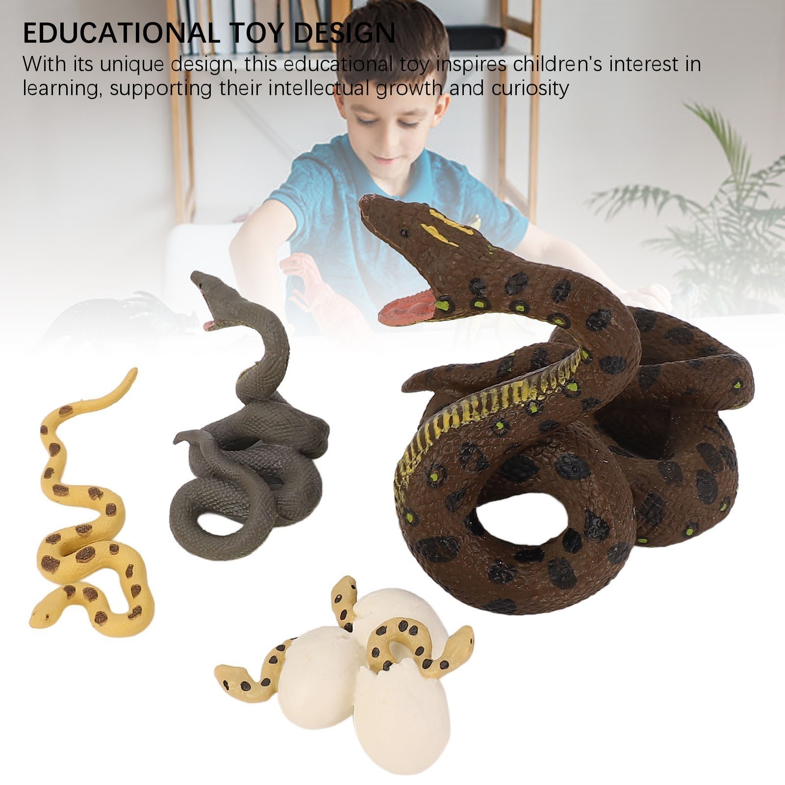 4 Pcs Snake Growth Cycle Model Toys Realistic Educational Play Simulated Snake