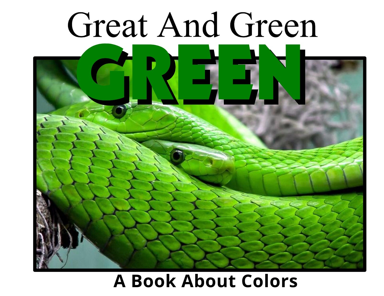 Green | Great And Green | LEARNING COLORS | Spiral Bound Picture Book