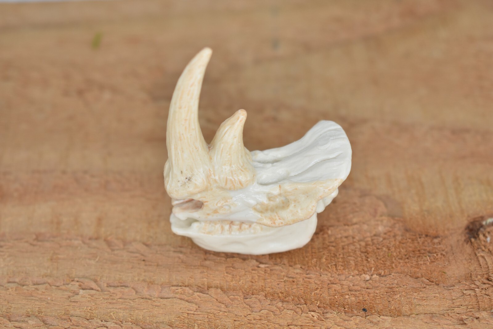 Rhino Rhinoceros Skull Plastic Toy Animal Kids Gift Realistic Figure 2″ F4119