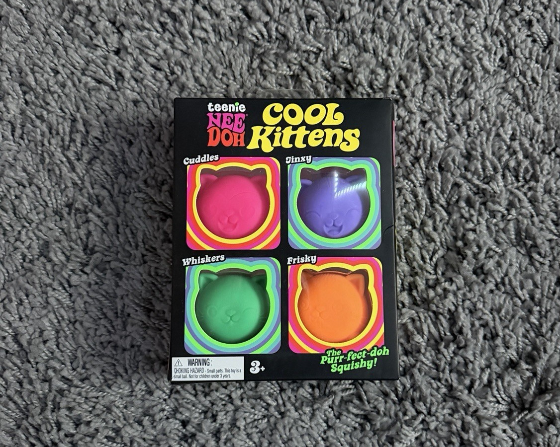 Schylling NeeDoh Teenie Cool Cats 4-Pack Kittens Stress Fidget Sensory Toy NEW
