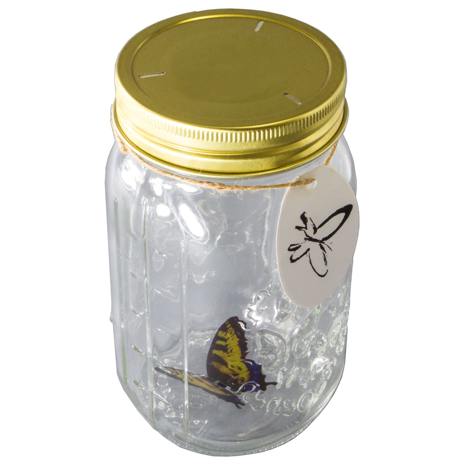 Animated Butterfly in a Jar – Yellow Swallow, Tap to Activate, LED Lighted
