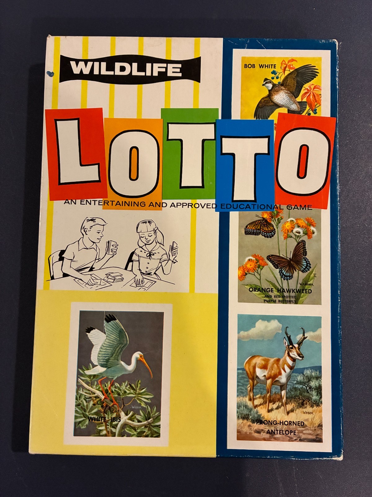 Vintage Lotto Wildlife Childrens Educational And Entertaining Game #20015