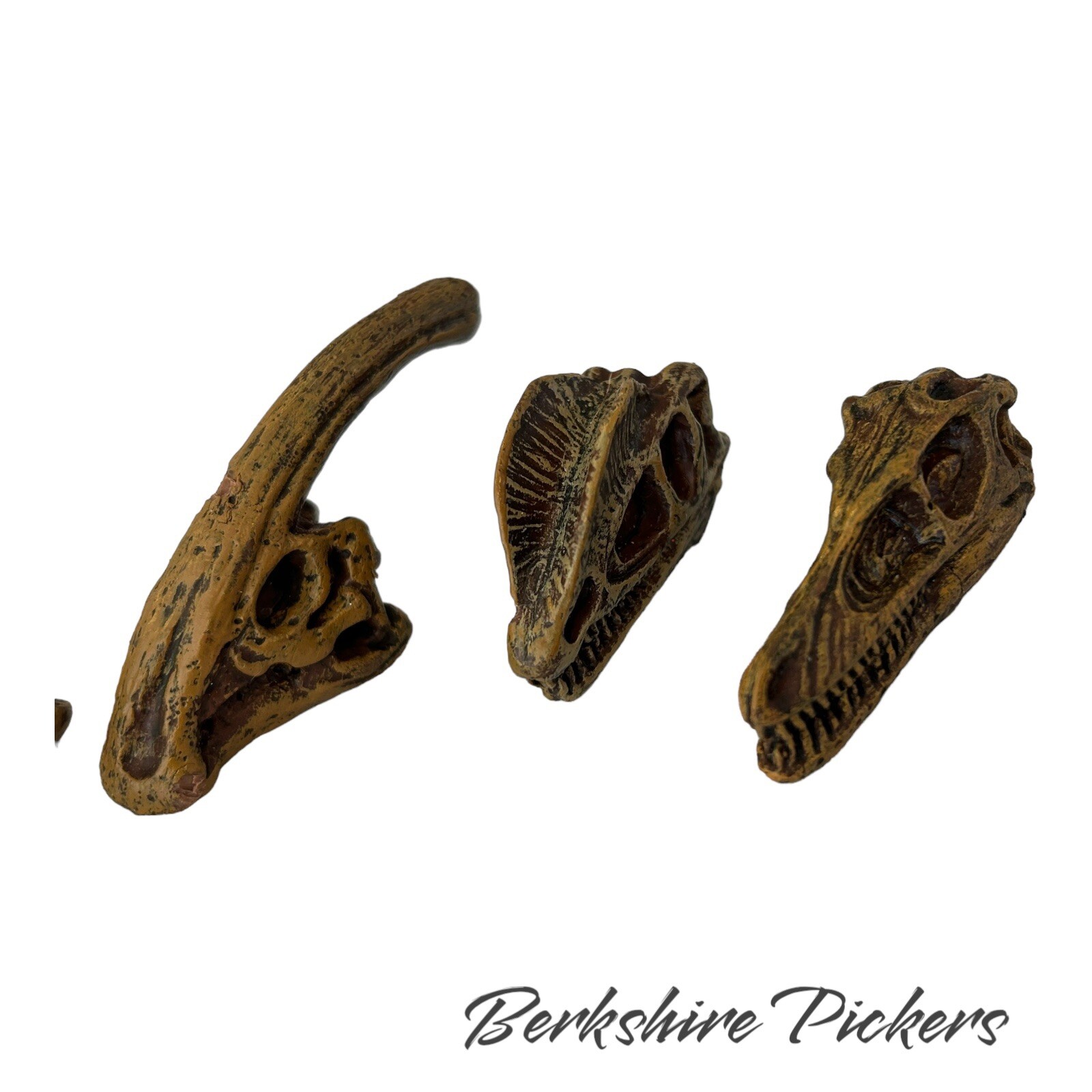 Safari Ltd Dinosaur Skull MINI Replica Lot Of 9