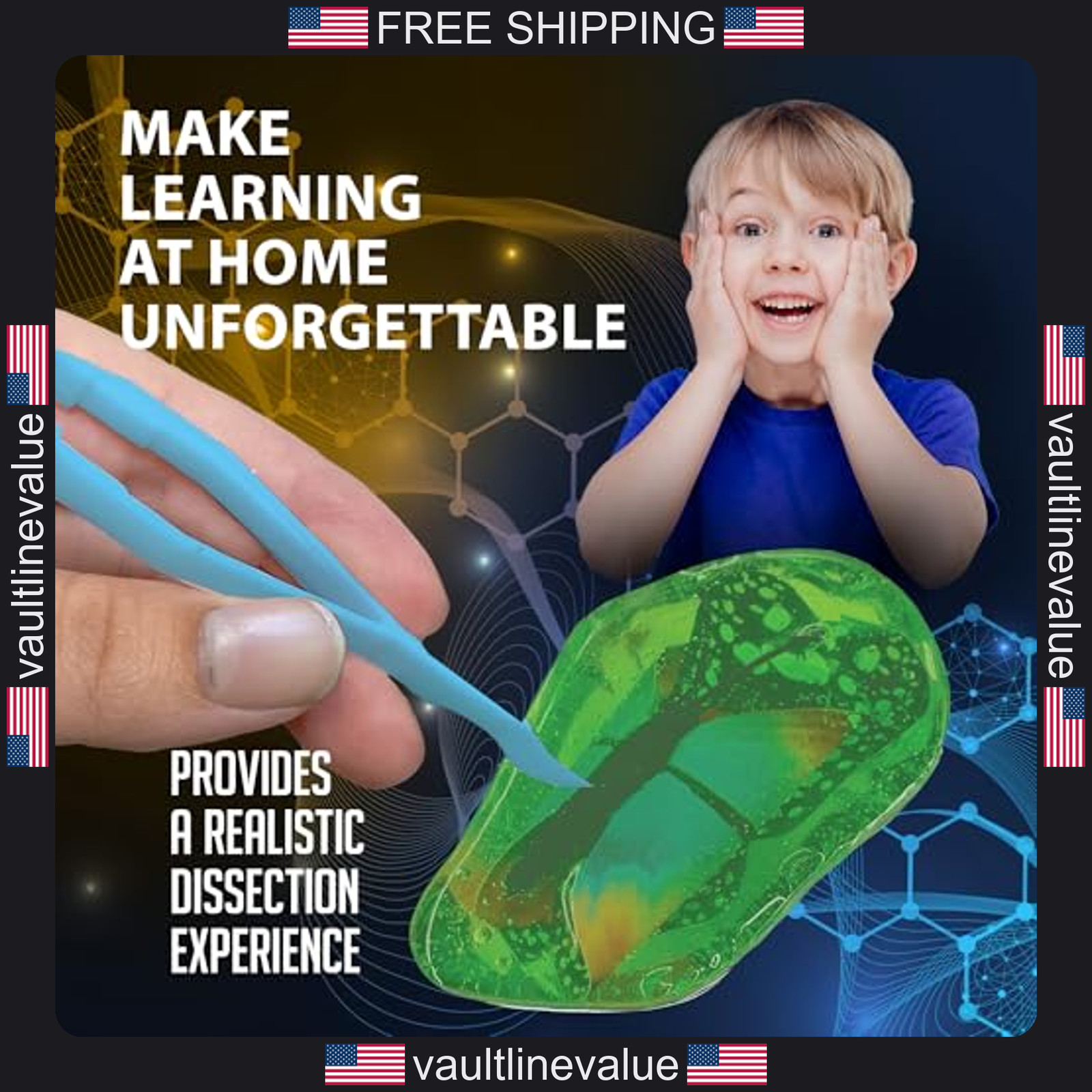 Discover-It Butterfly Metamorphosis Dissection Kit Kids STEM Science Ages 5+